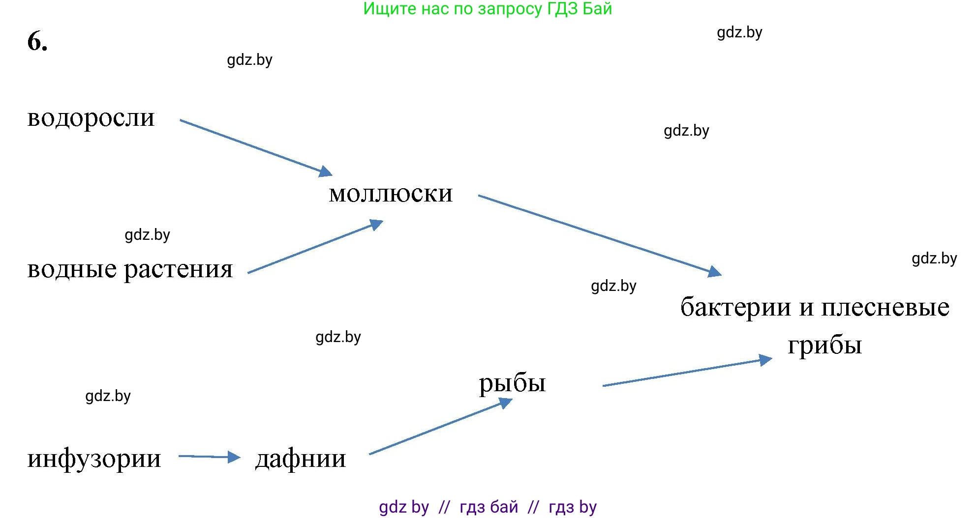 Биология, 10 класс рабочая тетрадь, автор: Хруцкая Тамара Викторовна, издательство Аверсэв, Минск, 2020, оранжевого цвета, страница 89, номер 6, Решение