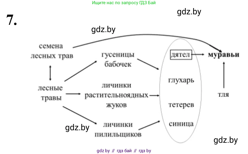 Биология, 10 класс рабочая тетрадь, автор: Хруцкая Тамара Викторовна, издательство Аверсэв, Минск, 2020, оранжевого цвета, страница 89, номер 7, Решение