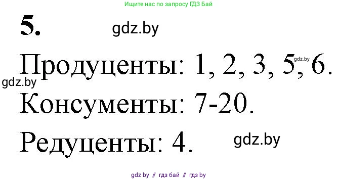 Биология, 10 класс рабочая тетрадь, автор: Хруцкая Тамара Викторовна, издательство Аверсэв, Минск, 2020, оранжевого цвета, страница 92, номер 5, Решение