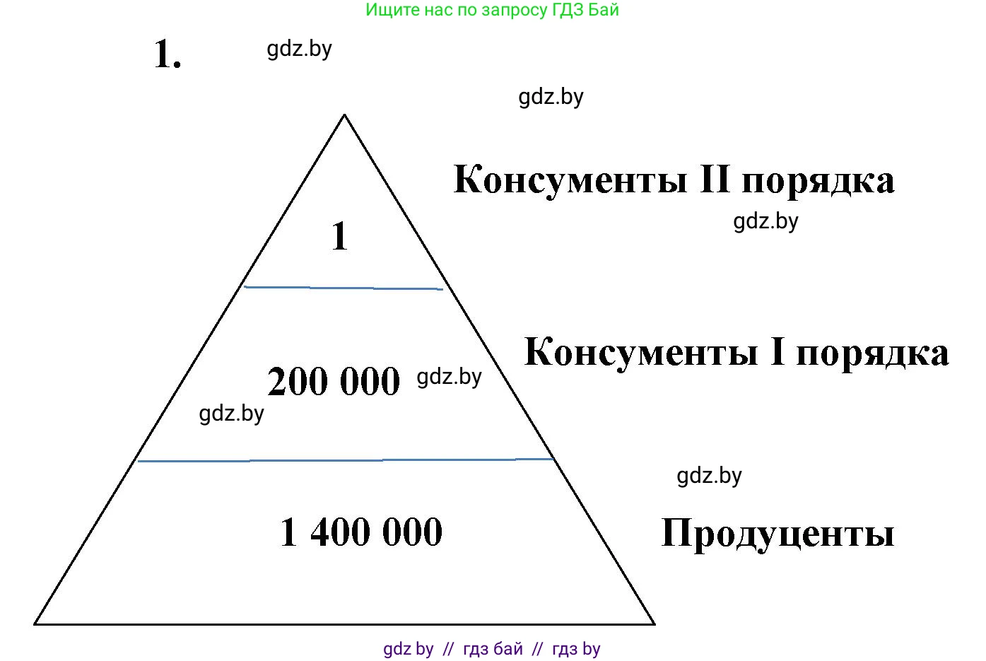 Биология, 10 класс рабочая тетрадь, автор: Хруцкая Тамара Викторовна, издательство Аверсэв, Минск, 2020, оранжевого цвета, страница 97, номер 1, Решение