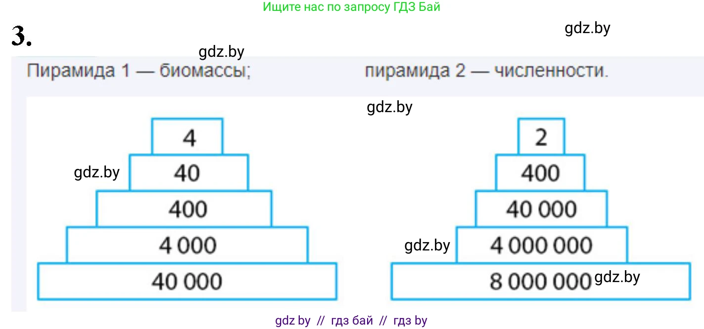 Биология, 10 класс рабочая тетрадь, автор: Хруцкая Тамара Викторовна, издательство Аверсэв, Минск, 2020, оранжевого цвета, страница 98, номер 3, Решение