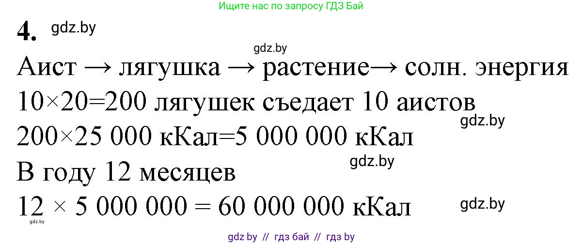 Биология, 10 класс рабочая тетрадь, авторы: Маглыш Сабина Степановна, Кравченко Вячеслав Анатольевич, издательство Аверсэв, Минск, 2021, страница 104, номер 4, Решение