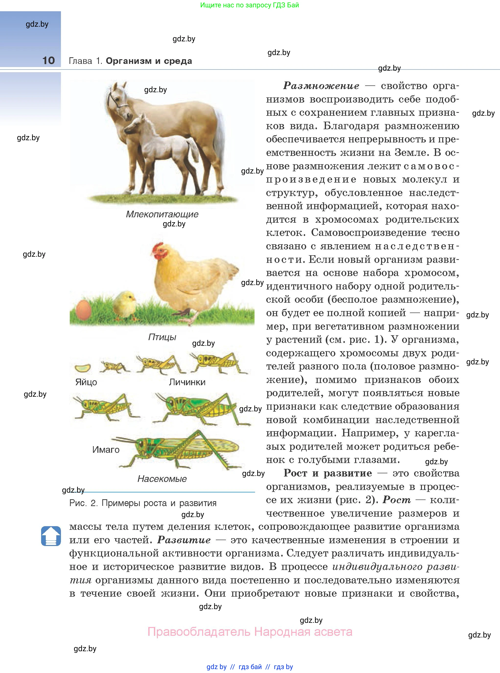 Биология, 10 класс Учебник, авторы: Маглыш Сабина Степановна, Кравченко Вячеслав Анатольевич, Довгун Татьяна Яновна, издательство Народная асвета, Минск, 2020, зелёного цвета, страница 10
