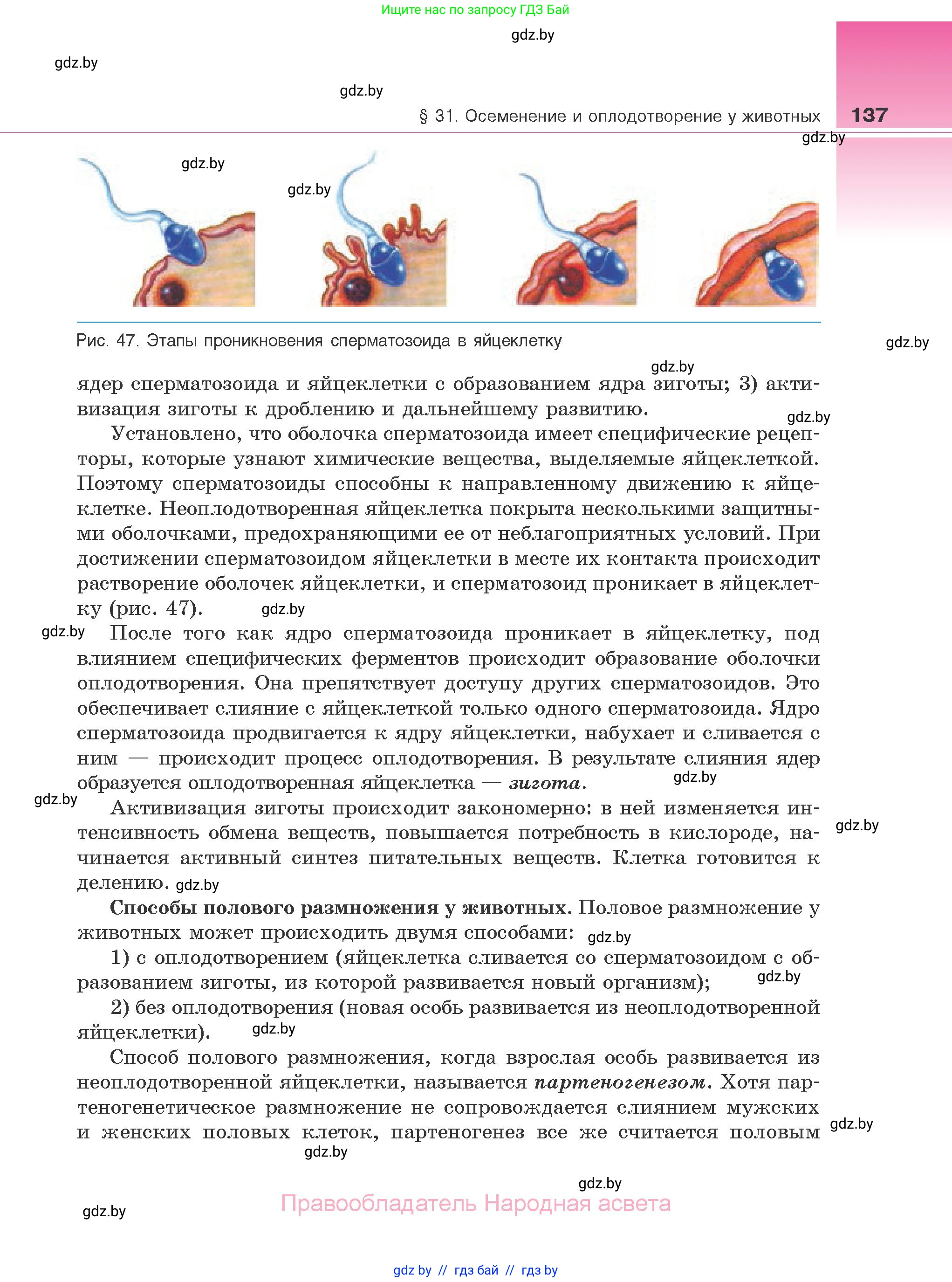 Биология, 10 класс Учебник, авторы: Маглыш Сабина Степановна, Кравченко Вячеслав Анатольевич, Довгун Татьяна Яновна, издательство Народная асвета, Минск, 2020, зелёного цвета, страница 137