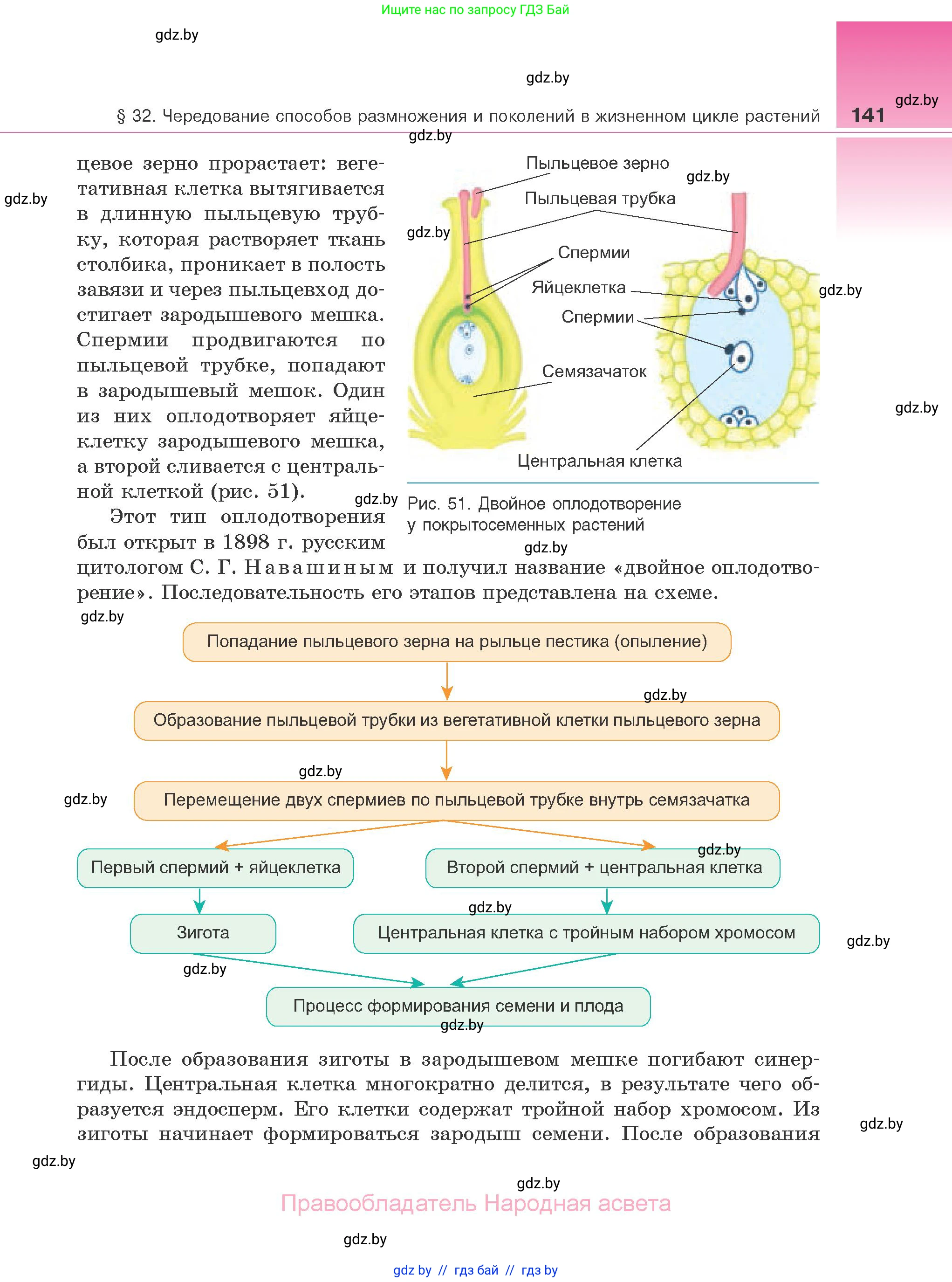 Биология, 10 класс Учебник, авторы: Маглыш Сабина Степановна, Кравченко Вячеслав Анатольевич, Довгун Татьяна Яновна, издательство Народная асвета, Минск, 2020, зелёного цвета, страница 141