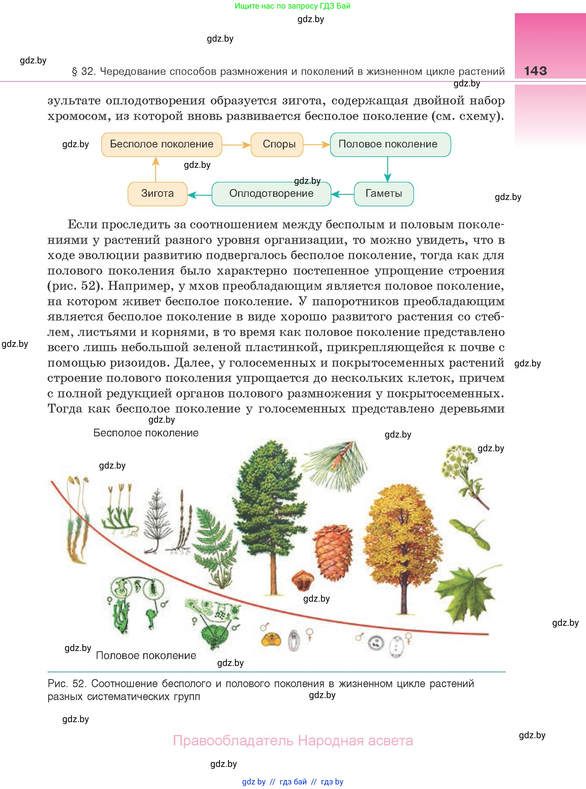 Биология, 10 класс Учебник, авторы: Маглыш Сабина Степановна, Кравченко Вячеслав Анатольевич, Довгун Татьяна Яновна, издательство Народная асвета, Минск, 2020, зелёного цвета, страница 143