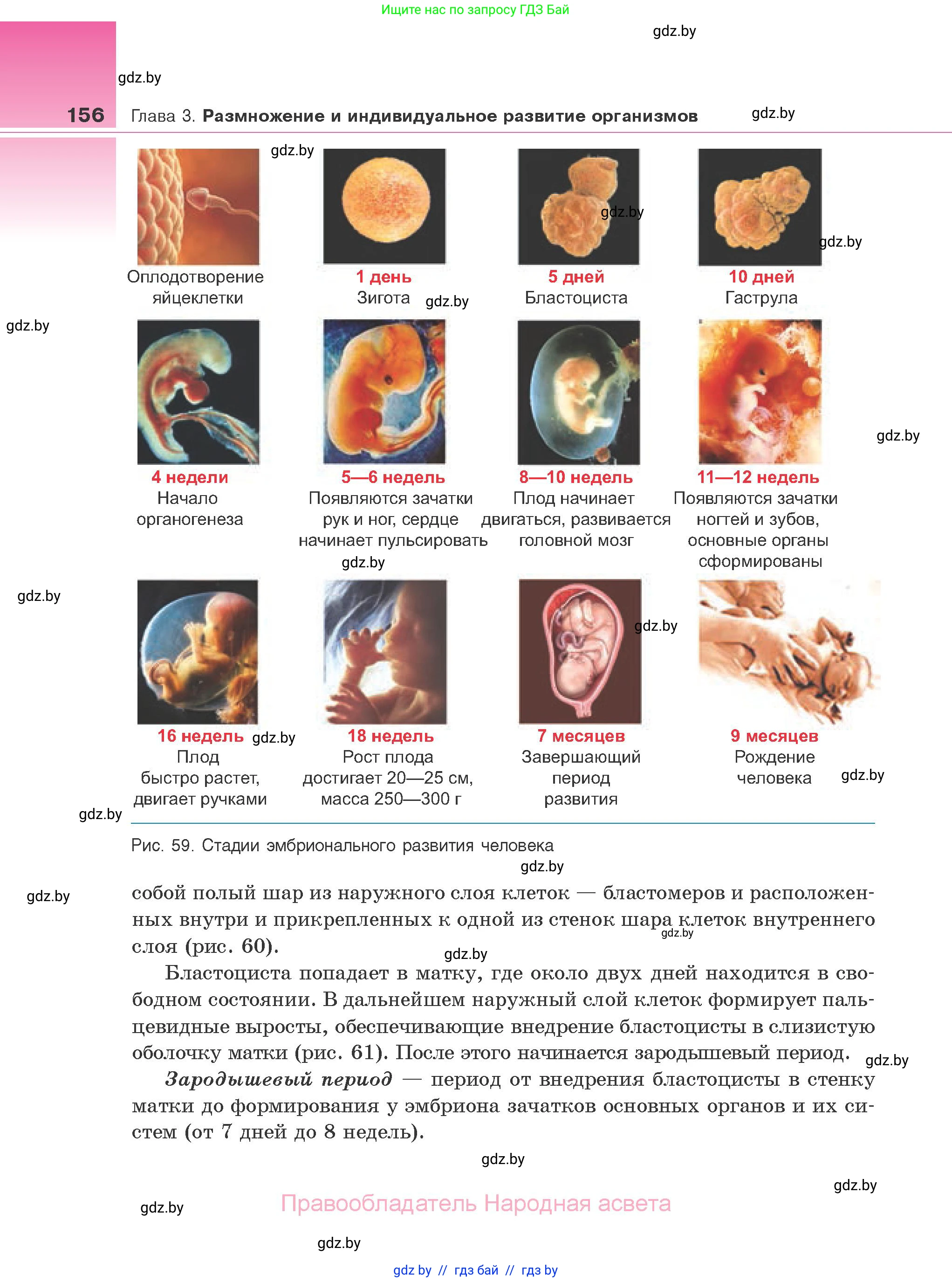 Биология, 10 класс Учебник, авторы: Маглыш Сабина Степановна, Кравченко Вячеслав Анатольевич, Довгун Татьяна Яновна, издательство Народная асвета, Минск, 2020, зелёного цвета, страница 156