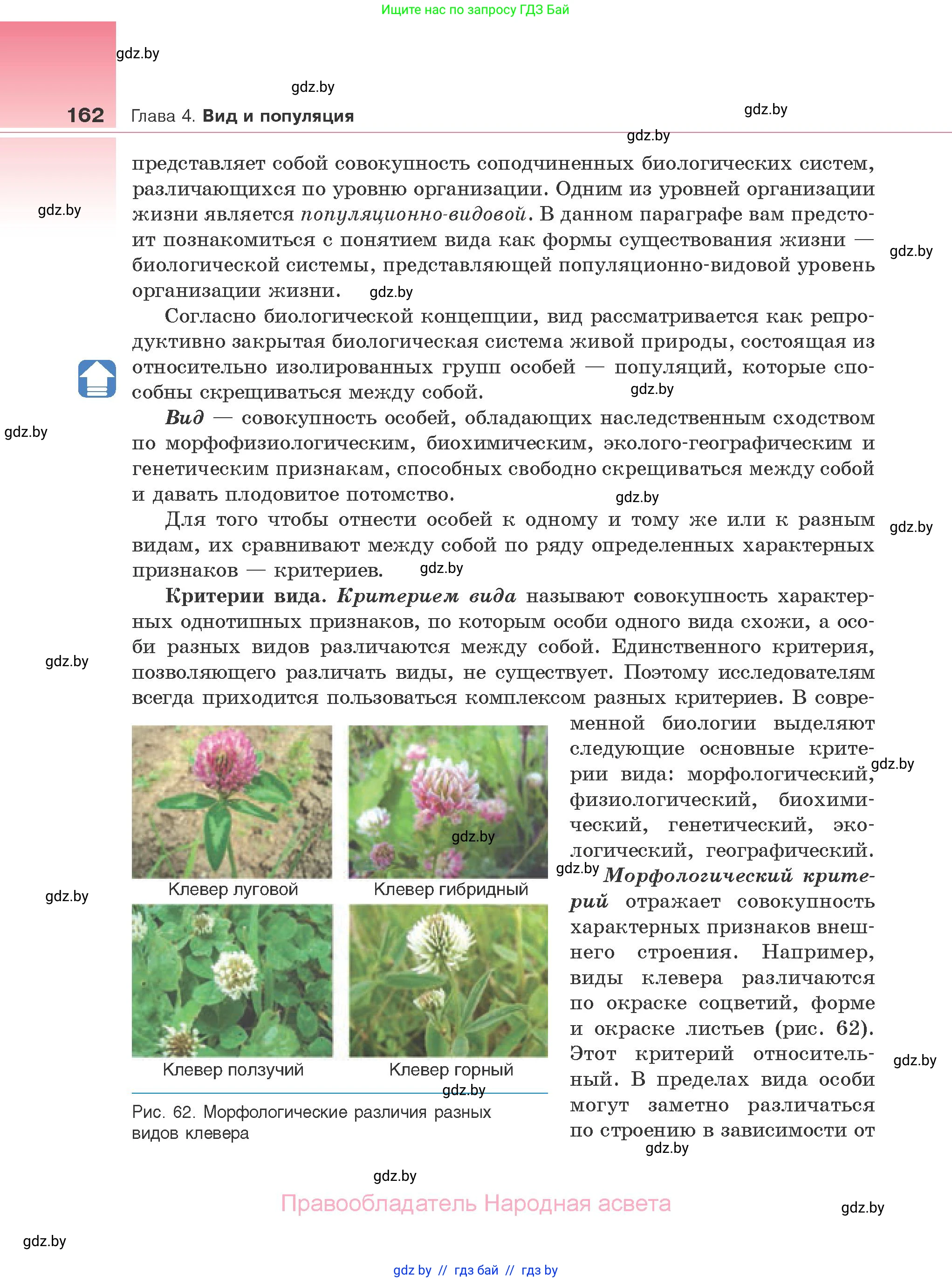 Биология, 10 класс Учебник, авторы: Маглыш Сабина Степановна, Кравченко Вячеслав Анатольевич, Довгун Татьяна Яновна, издательство Народная асвета, Минск, 2020, зелёного цвета, страница 162