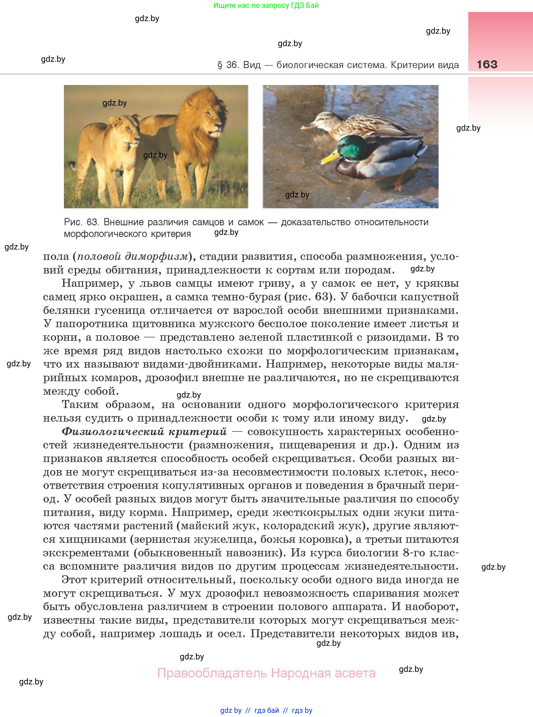 Биология, 10 класс Учебник, авторы: Маглыш Сабина Степановна, Кравченко Вячеслав Анатольевич, Довгун Татьяна Яновна, издательство Народная асвета, Минск, 2020, зелёного цвета, страница 163