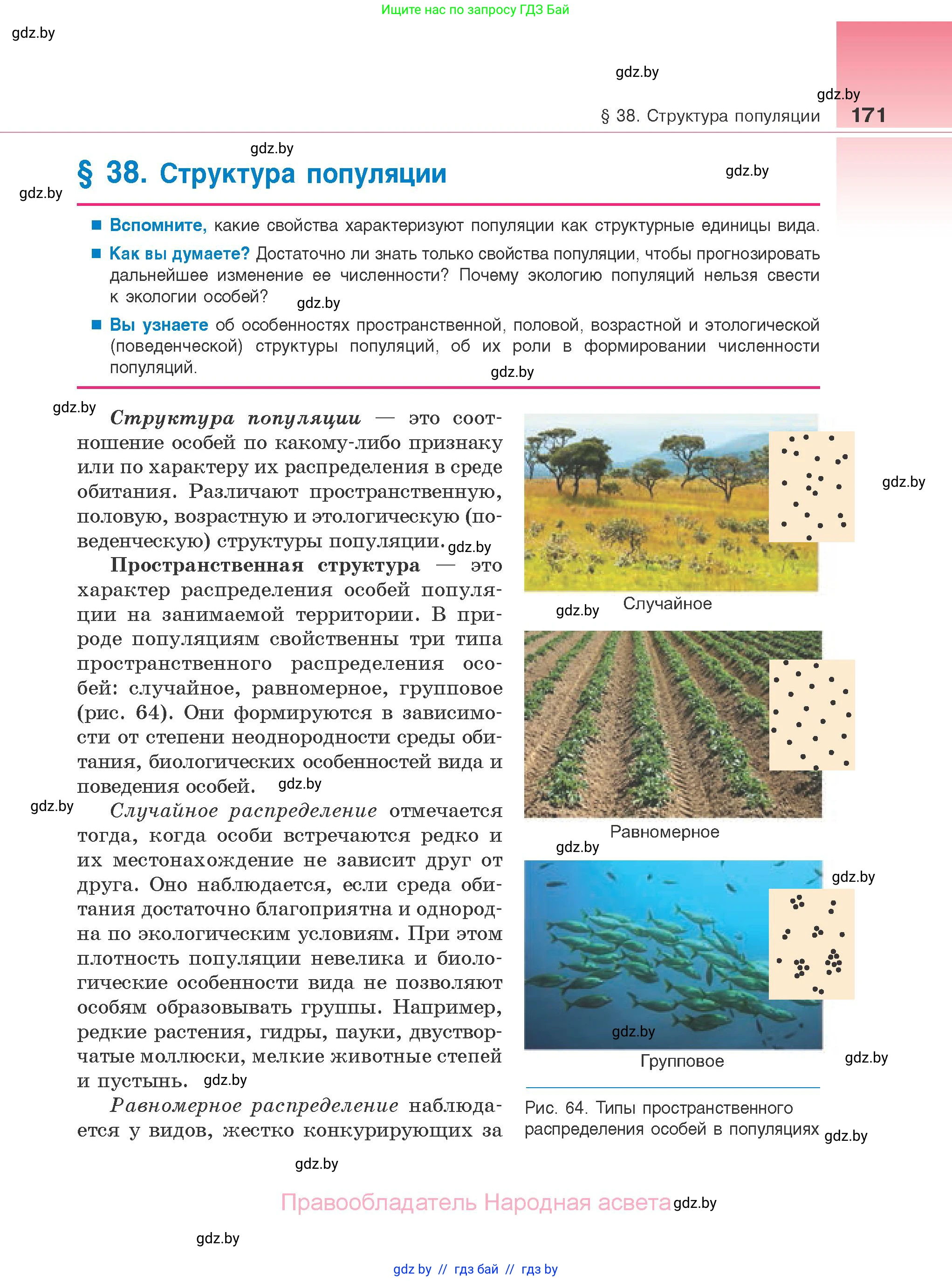 Биология, 10 класс Учебник, авторы: Маглыш Сабина Степановна, Кравченко Вячеслав Анатольевич, Довгун Татьяна Яновна, издательство Народная асвета, Минск, 2020, зелёного цвета, страница 171