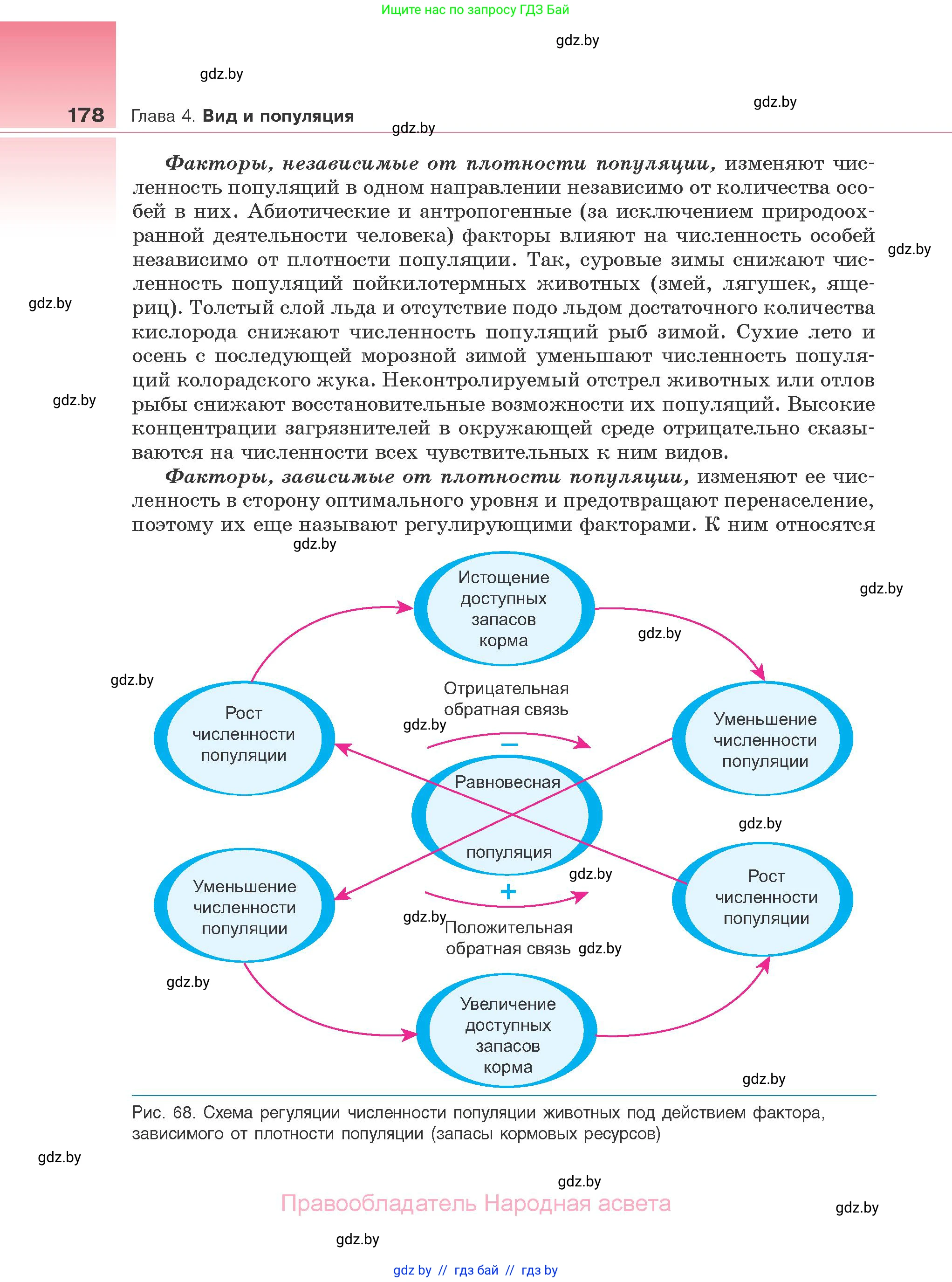 Биология, 10 класс Учебник, авторы: Маглыш Сабина Степановна, Кравченко Вячеслав Анатольевич, Довгун Татьяна Яновна, издательство Народная асвета, Минск, 2020, зелёного цвета, страница 178