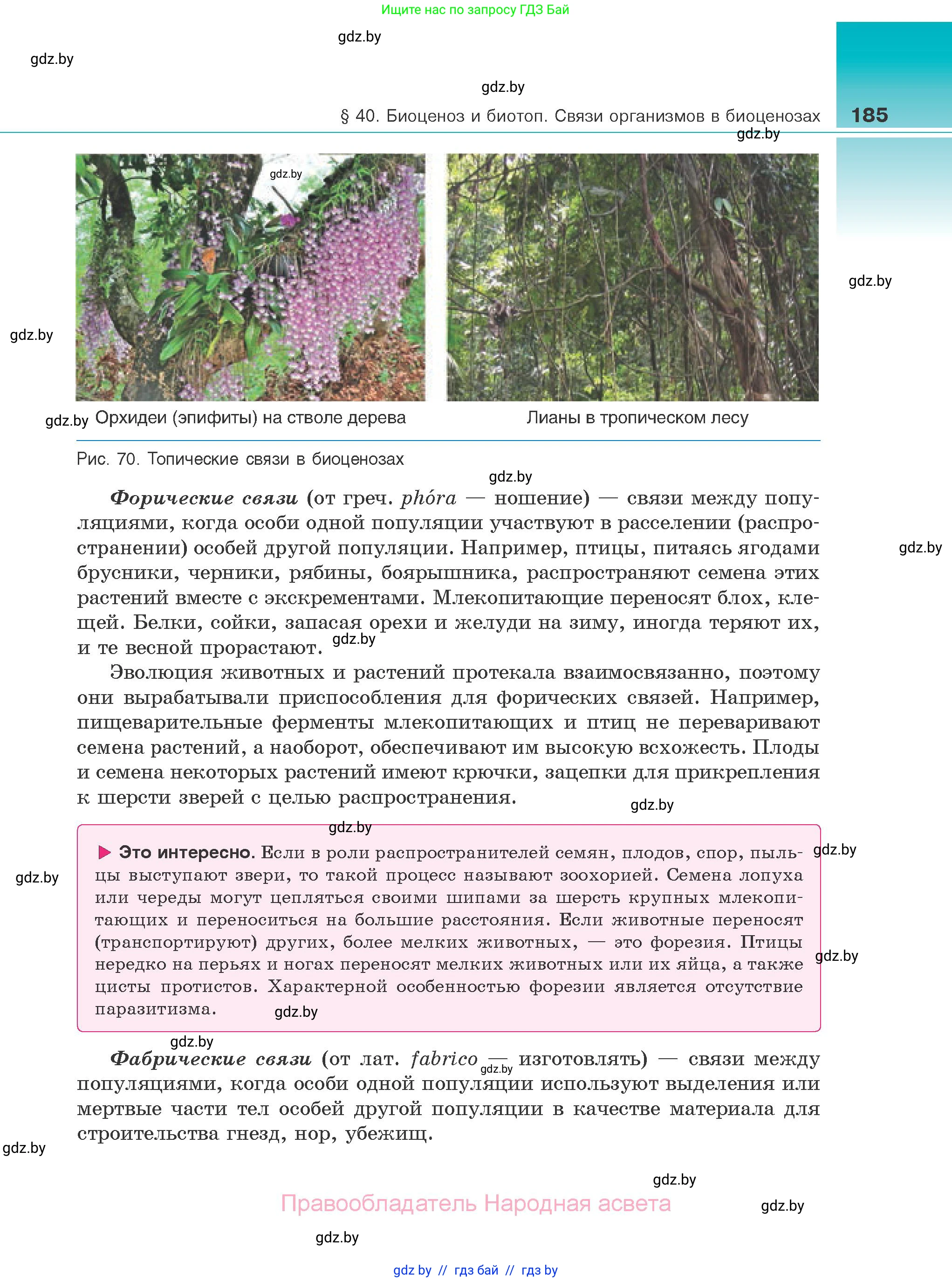 Биология, 10 класс Учебник, авторы: Маглыш Сабина Степановна, Кравченко Вячеслав Анатольевич, Довгун Татьяна Яновна, издательство Народная асвета, Минск, 2020, зелёного цвета, страница 185