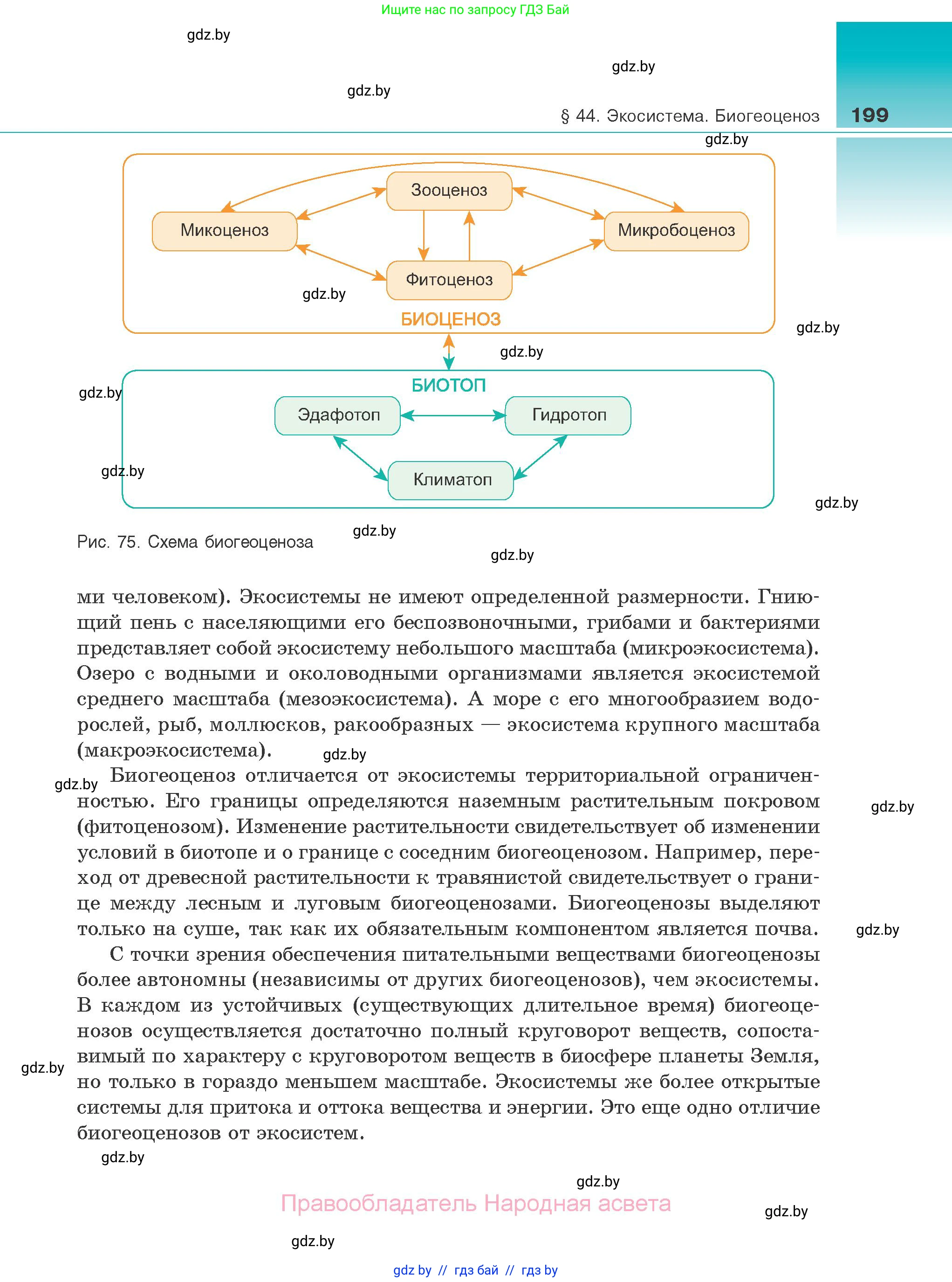 Биология, 10 класс Учебник, авторы: Маглыш Сабина Степановна, Кравченко Вячеслав Анатольевич, Довгун Татьяна Яновна, издательство Народная асвета, Минск, 2020, зелёного цвета, страница 199