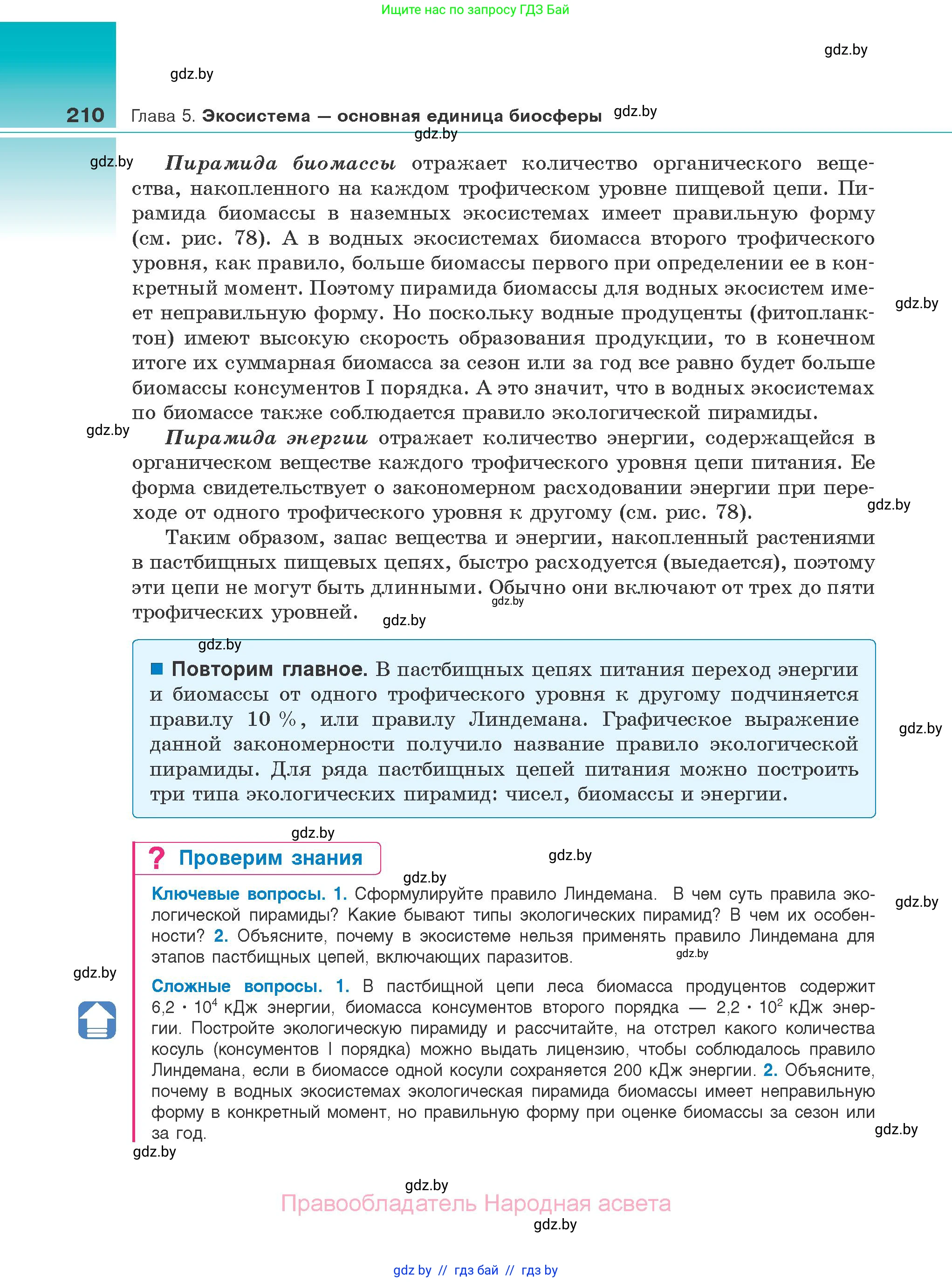 Биология, 10 класс Учебник, авторы: Маглыш Сабина Степановна, Кравченко Вячеслав Анатольевич, Довгун Татьяна Яновна, издательство Народная асвета, Минск, 2020, зелёного цвета, страница 210