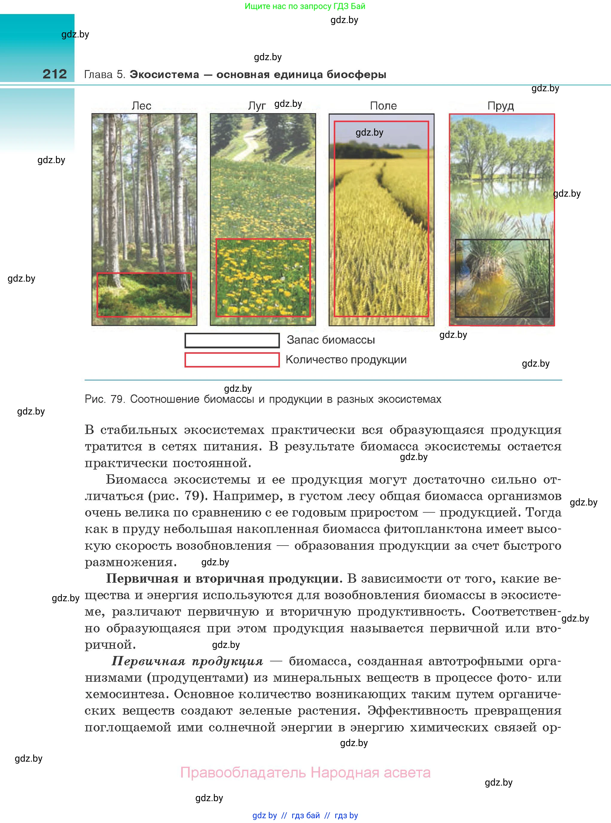 Биология, 10 класс Учебник, авторы: Маглыш Сабина Степановна, Кравченко Вячеслав Анатольевич, Довгун Татьяна Яновна, издательство Народная асвета, Минск, 2020, зелёного цвета, страница 212