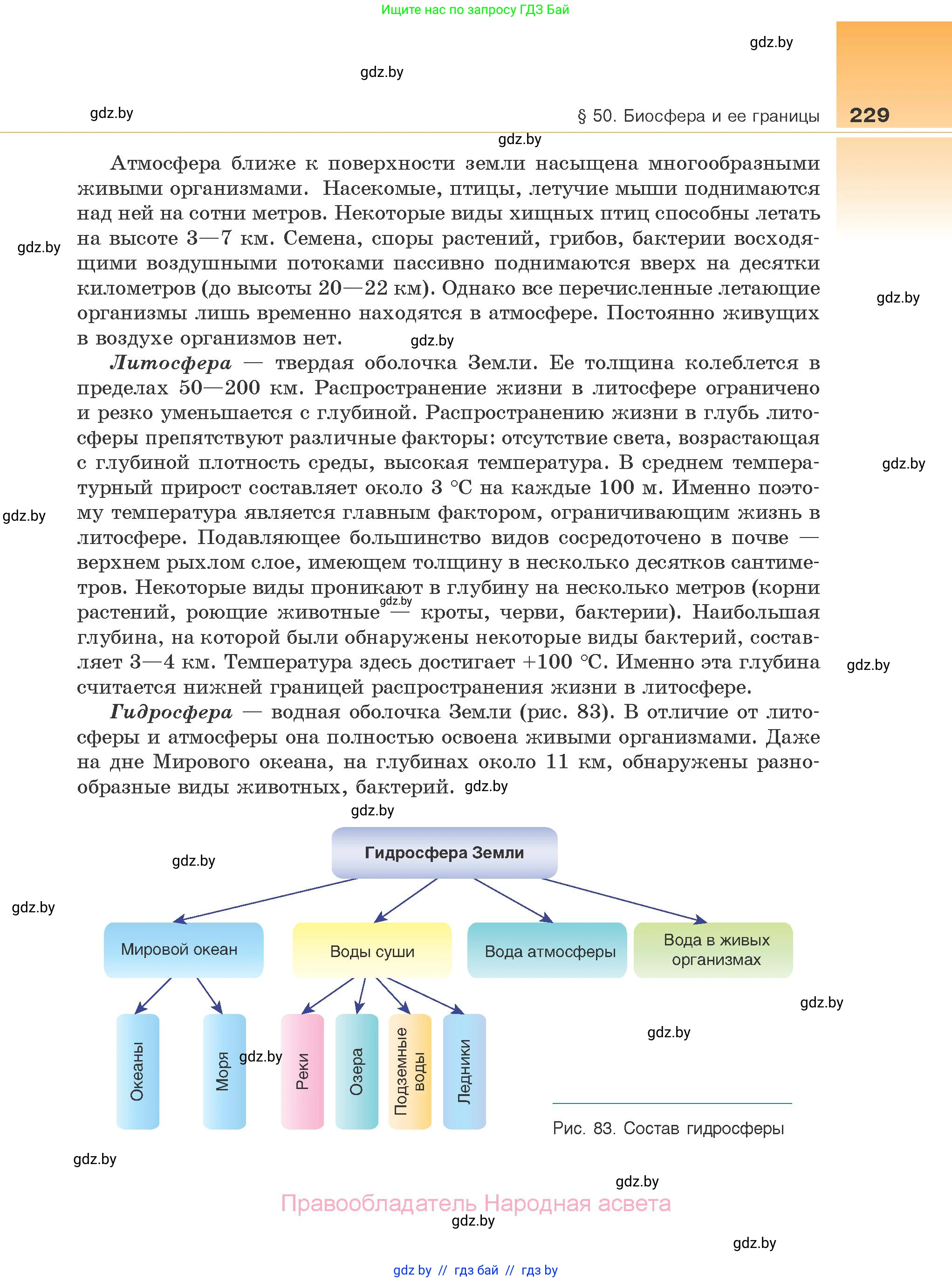 Биология, 10 класс Учебник, авторы: Маглыш Сабина Степановна, Кравченко Вячеслав Анатольевич, Довгун Татьяна Яновна, издательство Народная асвета, Минск, 2020, зелёного цвета, страница 229