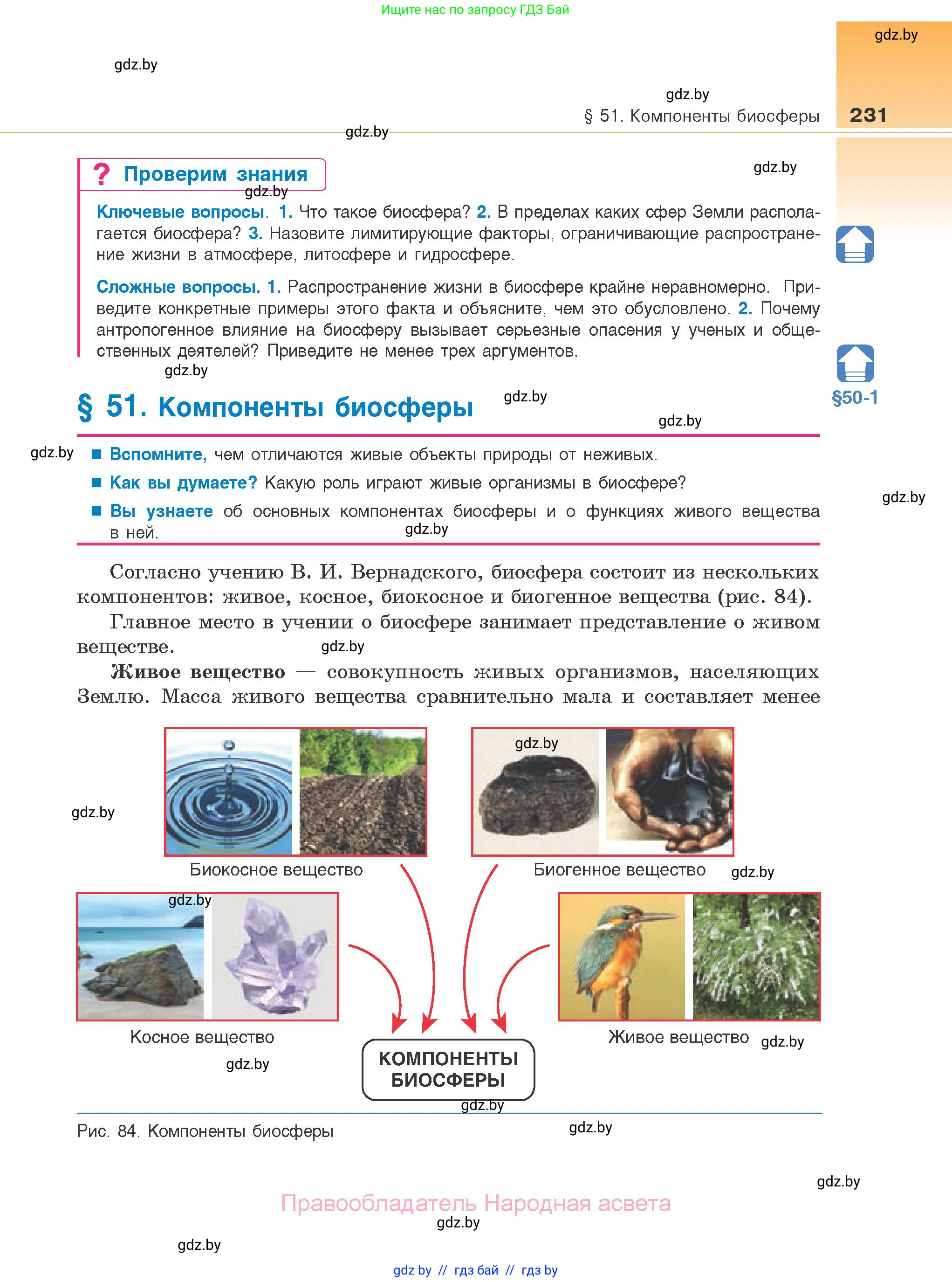 Биология, 10 класс Учебник, авторы: Маглыш Сабина Степановна, Кравченко Вячеслав Анатольевич, Довгун Татьяна Яновна, издательство Народная асвета, Минск, 2020, зелёного цвета, страница 231