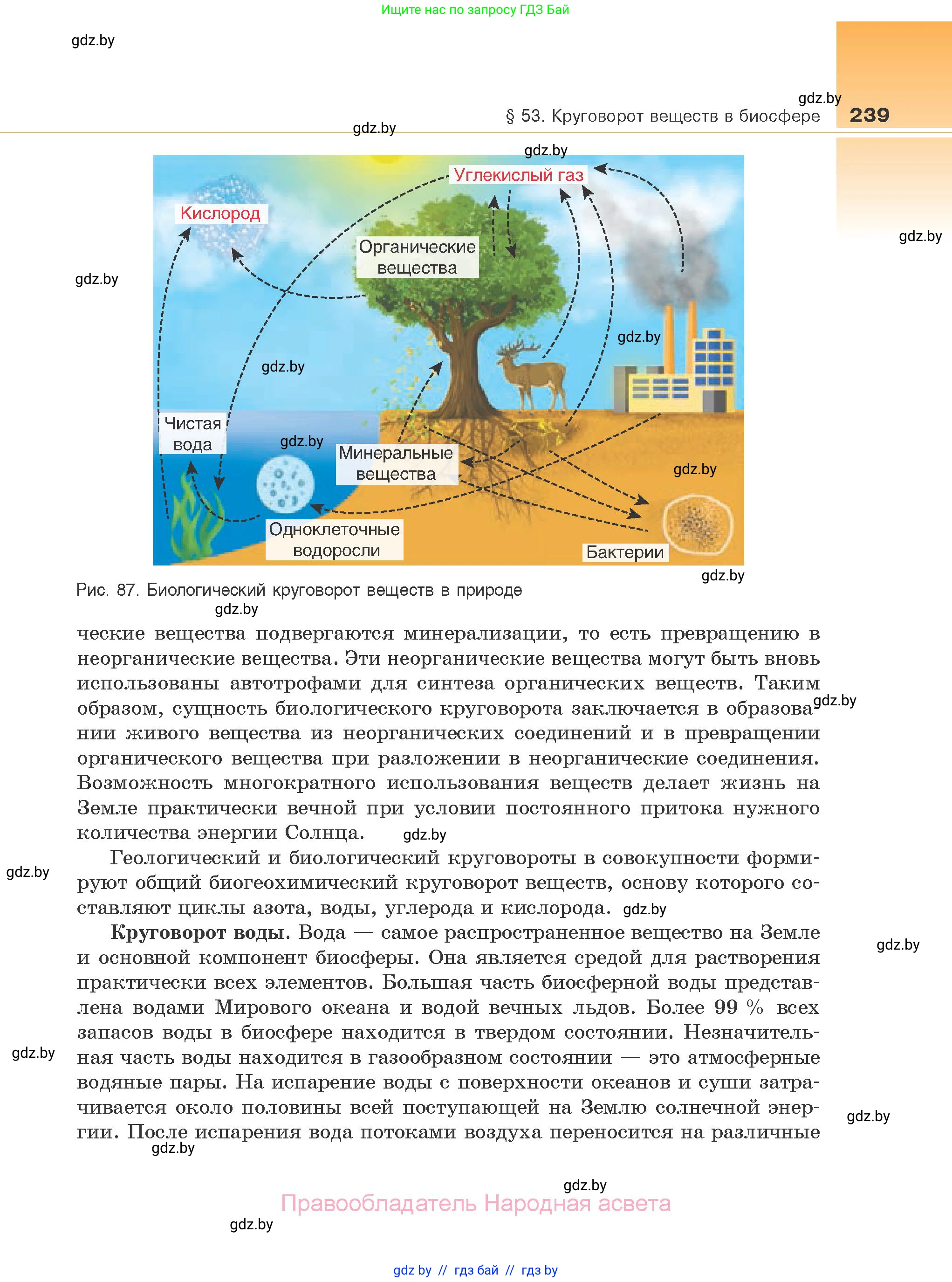 Биология, 10 класс Учебник, авторы: Маглыш Сабина Степановна, Кравченко Вячеслав Анатольевич, Довгун Татьяна Яновна, издательство Народная асвета, Минск, 2020, зелёного цвета, страница 239
