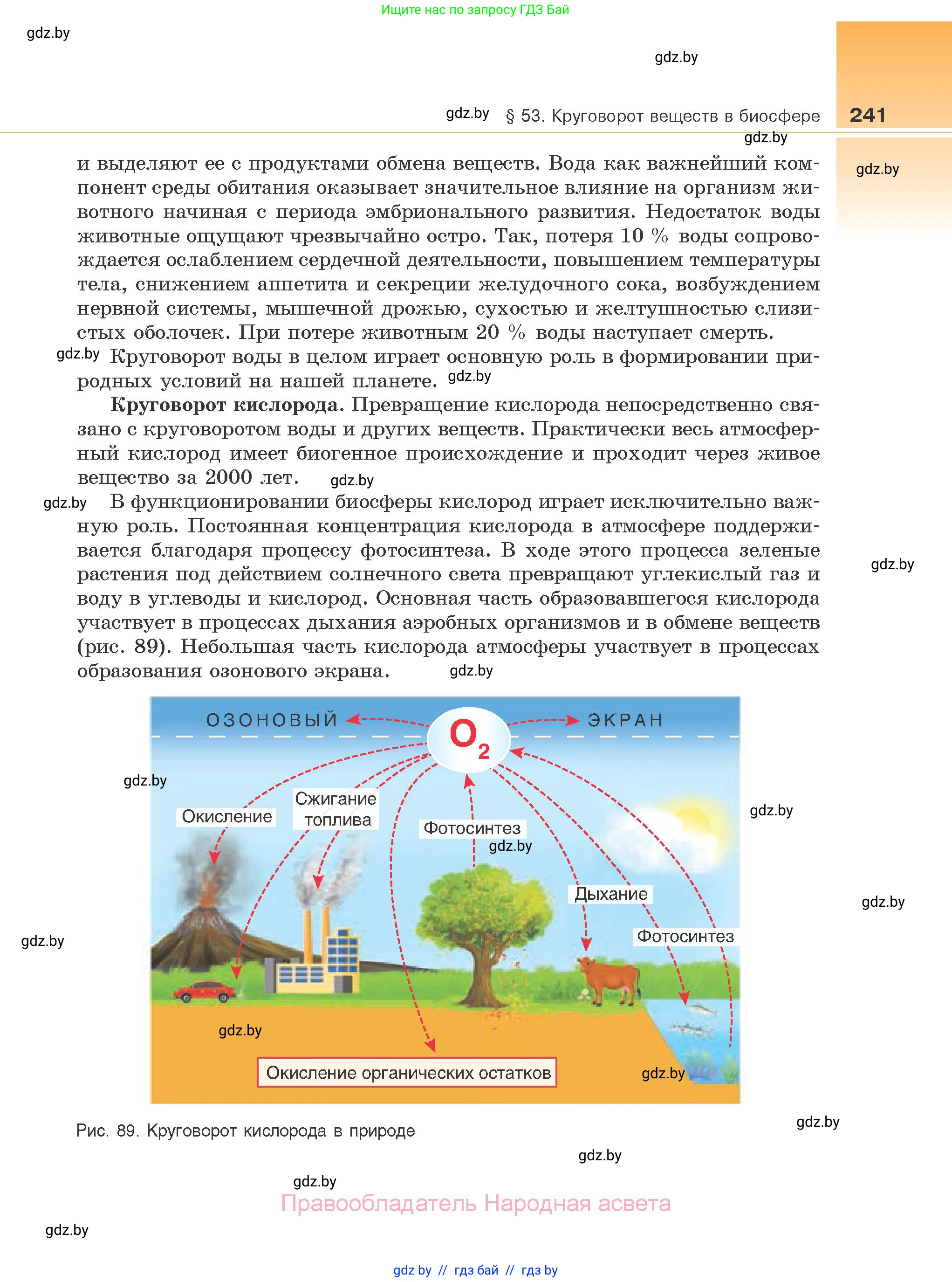 Биология, 10 класс Учебник, авторы: Маглыш Сабина Степановна, Кравченко Вячеслав Анатольевич, Довгун Татьяна Яновна, издательство Народная асвета, Минск, 2020, зелёного цвета, страница 241