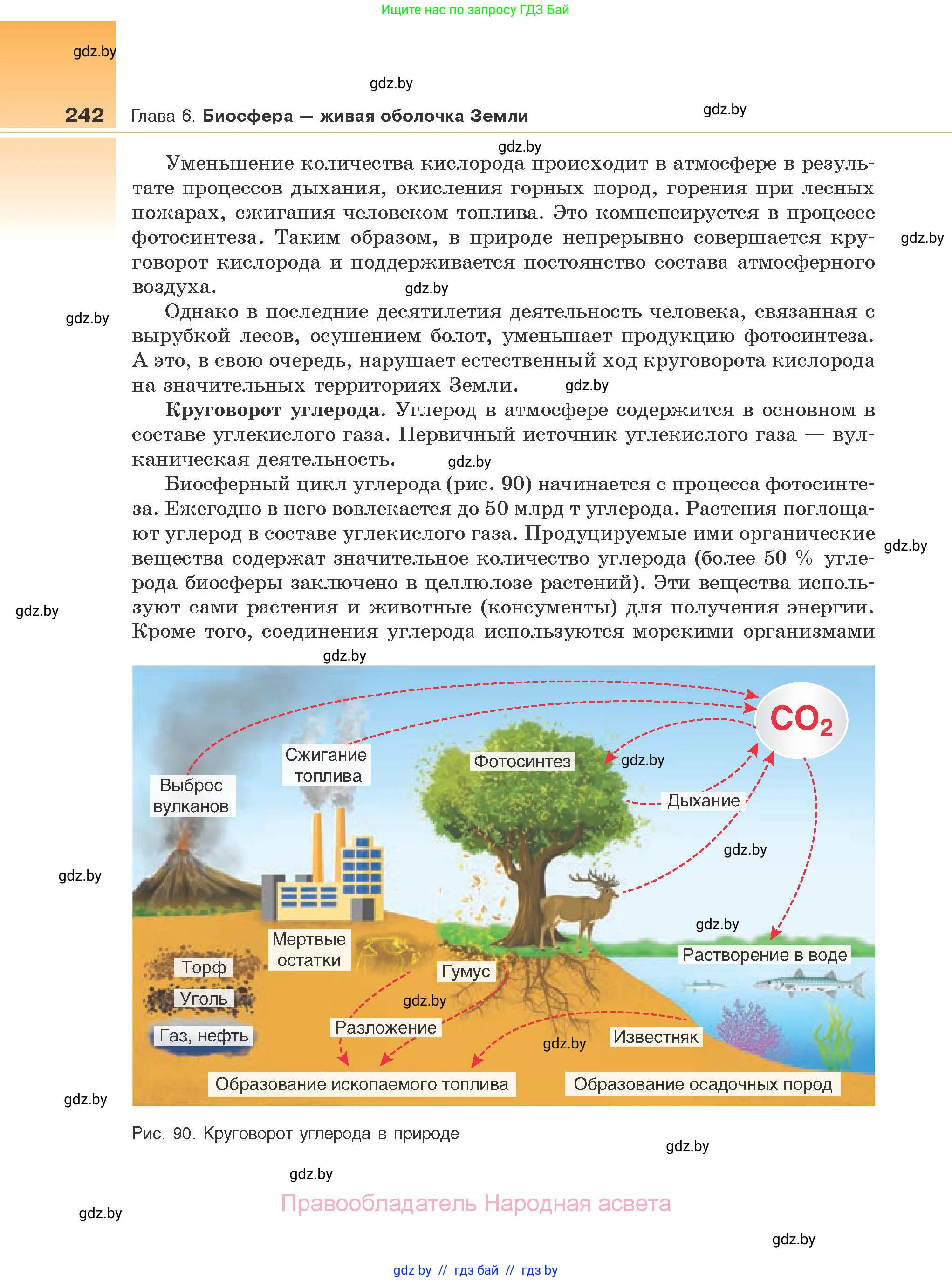 Биология, 10 класс Учебник, авторы: Маглыш Сабина Степановна, Кравченко Вячеслав Анатольевич, Довгун Татьяна Яновна, издательство Народная асвета, Минск, 2020, зелёного цвета, страница 242