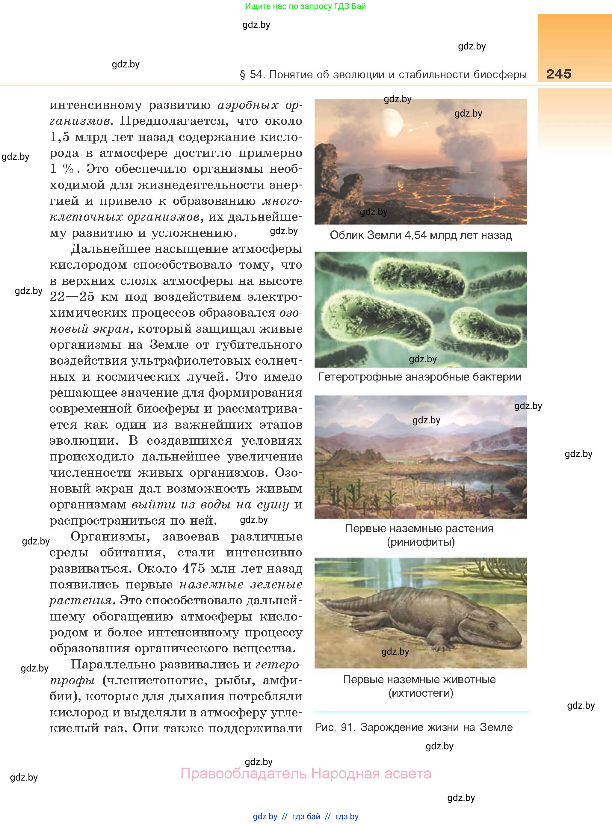Биология, 10 класс Учебник, авторы: Маглыш Сабина Степановна, Кравченко Вячеслав Анатольевич, Довгун Татьяна Яновна, издательство Народная асвета, Минск, 2020, зелёного цвета, страница 245