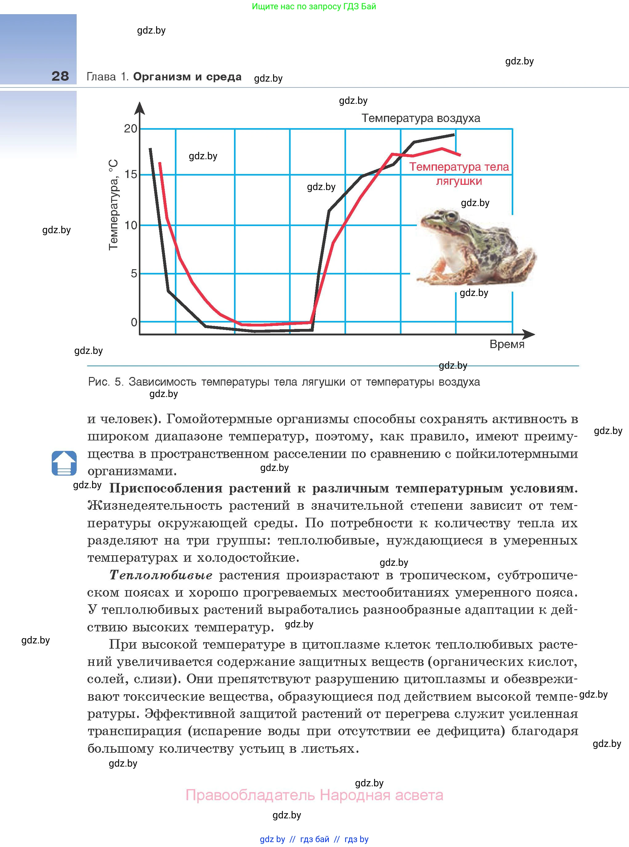 Биология, 10 класс Учебник, авторы: Маглыш Сабина Степановна, Кравченко Вячеслав Анатольевич, Довгун Татьяна Яновна, издательство Народная асвета, Минск, 2020, зелёного цвета, страница 28