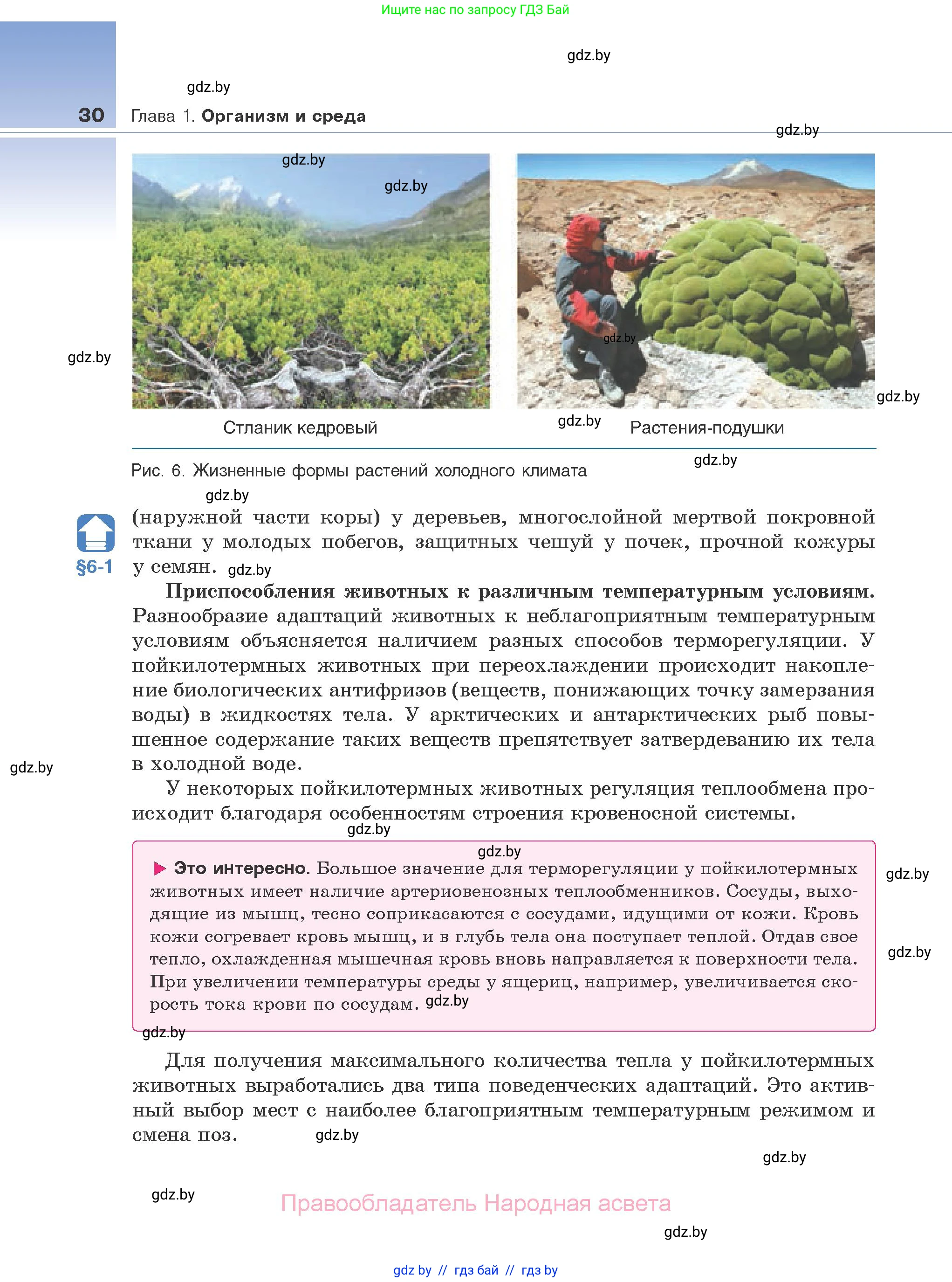 Биология, 10 класс Учебник, авторы: Маглыш Сабина Степановна, Кравченко Вячеслав Анатольевич, Довгун Татьяна Яновна, издательство Народная асвета, Минск, 2020, зелёного цвета, страница 30