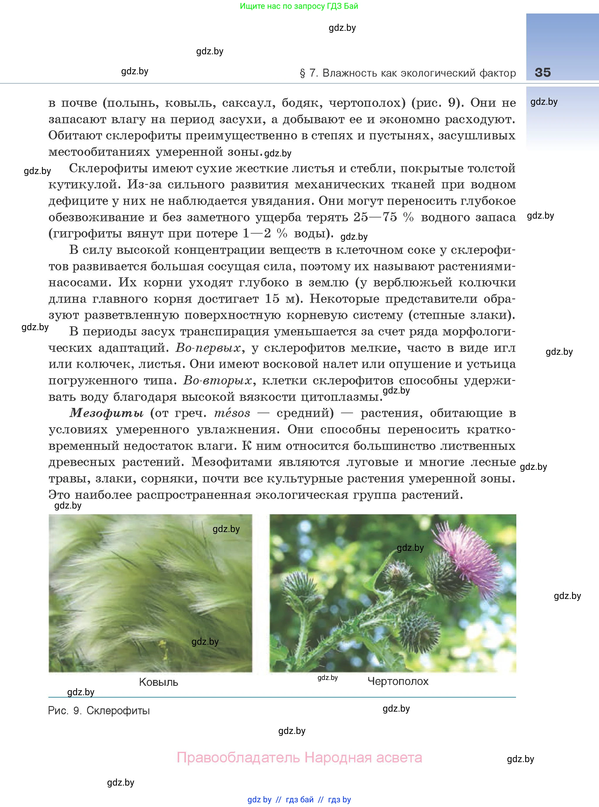 Биология, 10 класс Учебник, авторы: Маглыш Сабина Степановна, Кравченко Вячеслав Анатольевич, Довгун Татьяна Яновна, издательство Народная асвета, Минск, 2020, зелёного цвета, страница 35