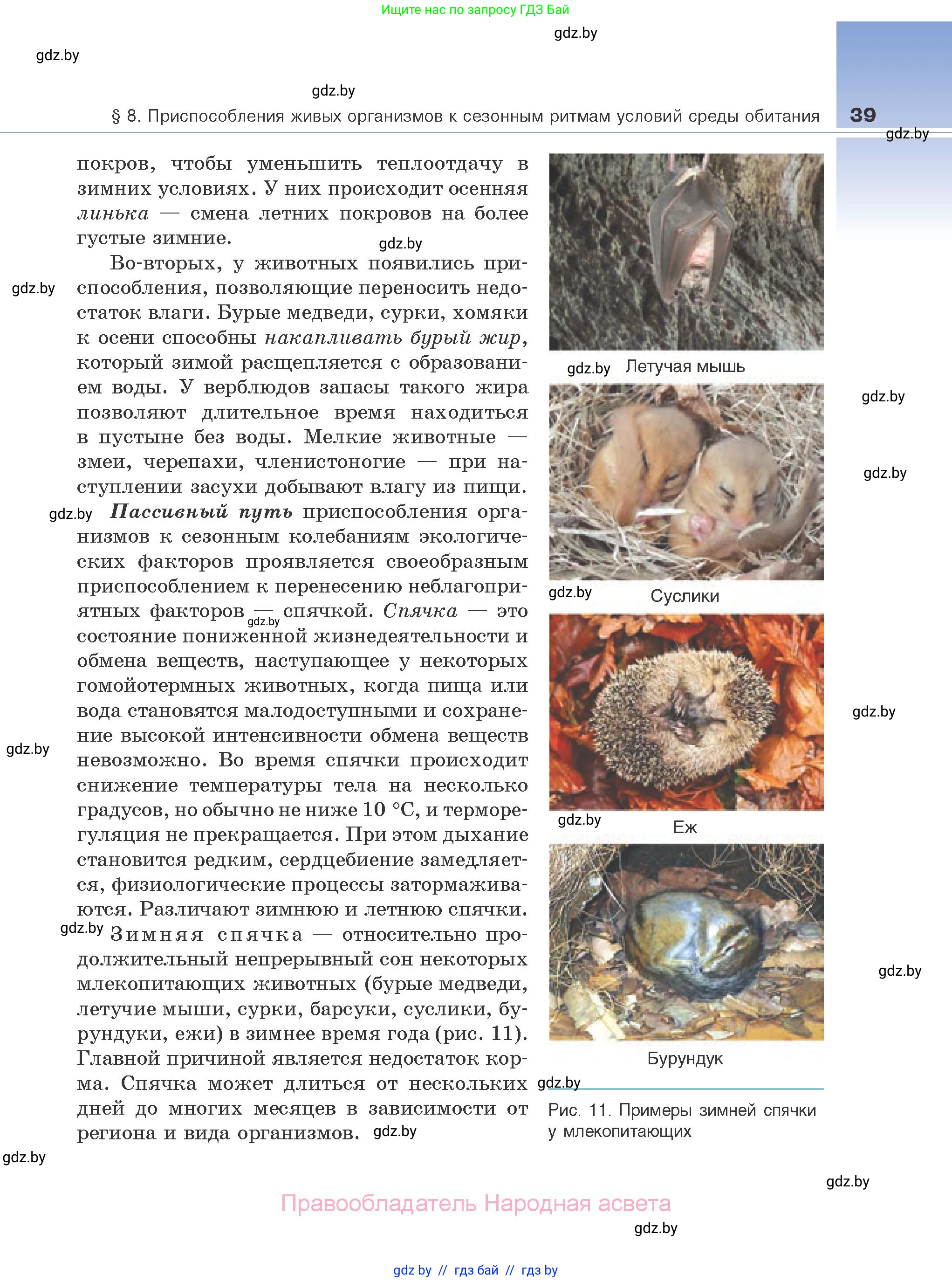 Биология, 10 класс Учебник, авторы: Маглыш Сабина Степановна, Кравченко Вячеслав Анатольевич, Довгун Татьяна Яновна, издательство Народная асвета, Минск, 2020, зелёного цвета, страница 39