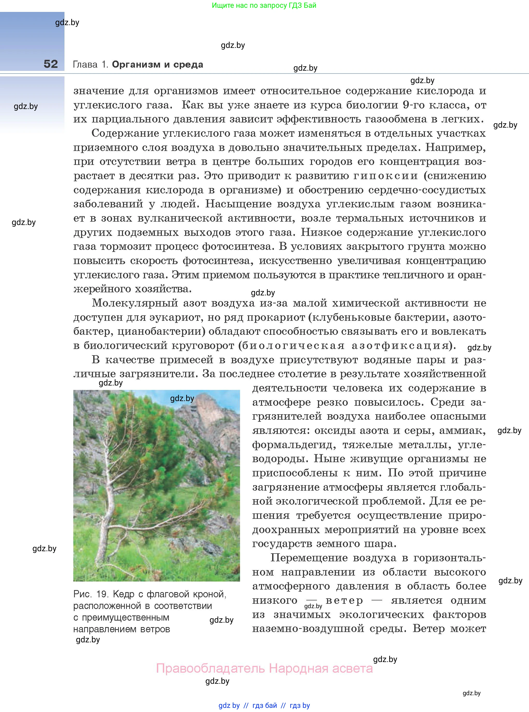Биология, 10 класс Учебник, авторы: Маглыш Сабина Степановна, Кравченко Вячеслав Анатольевич, Довгун Татьяна Яновна, издательство Народная асвета, Минск, 2020, зелёного цвета, страница 52
