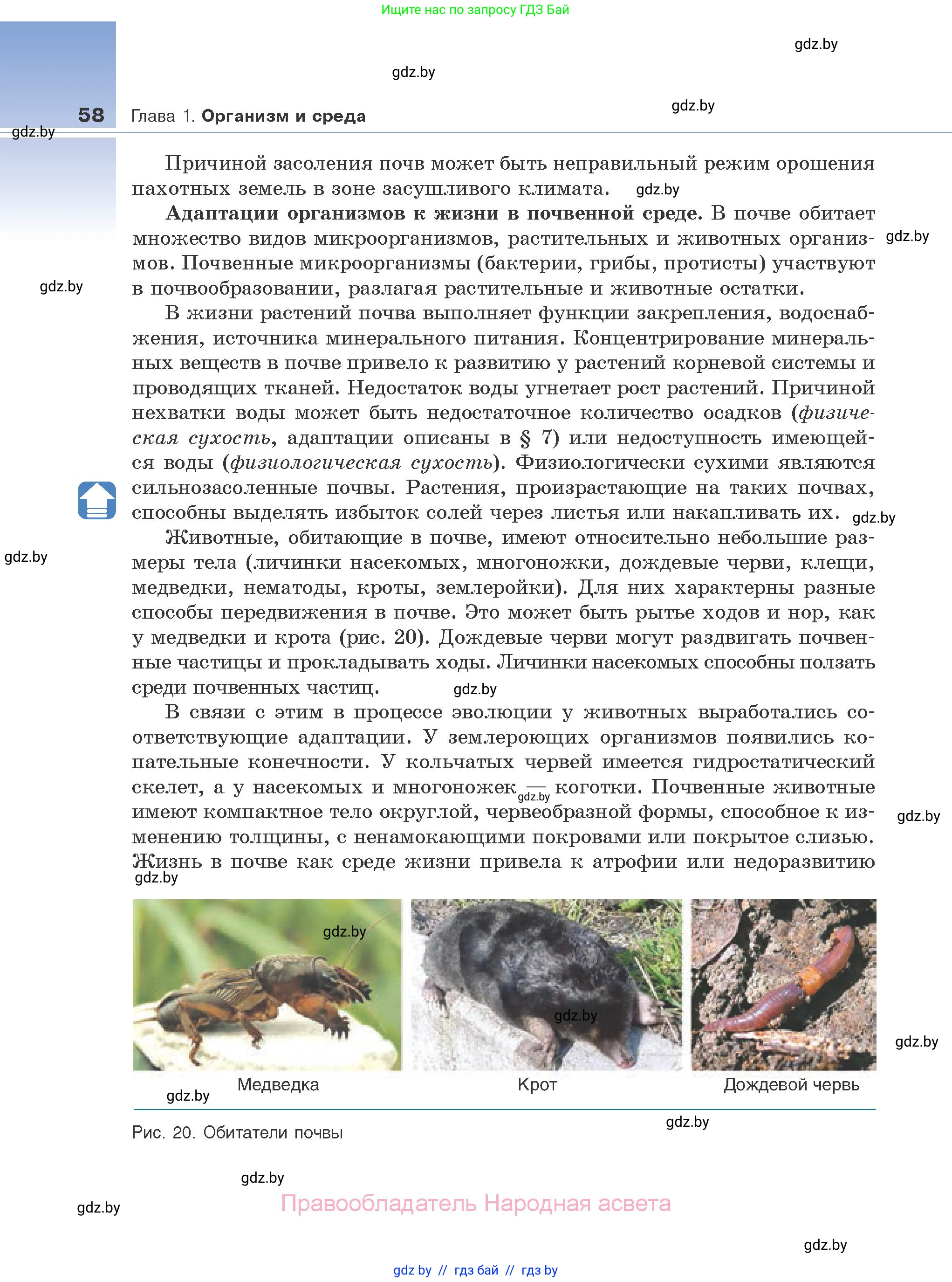 Биология, 10 класс Учебник, авторы: Маглыш Сабина Степановна, Кравченко Вячеслав Анатольевич, Довгун Татьяна Яновна, издательство Народная асвета, Минск, 2020, зелёного цвета, страница 58