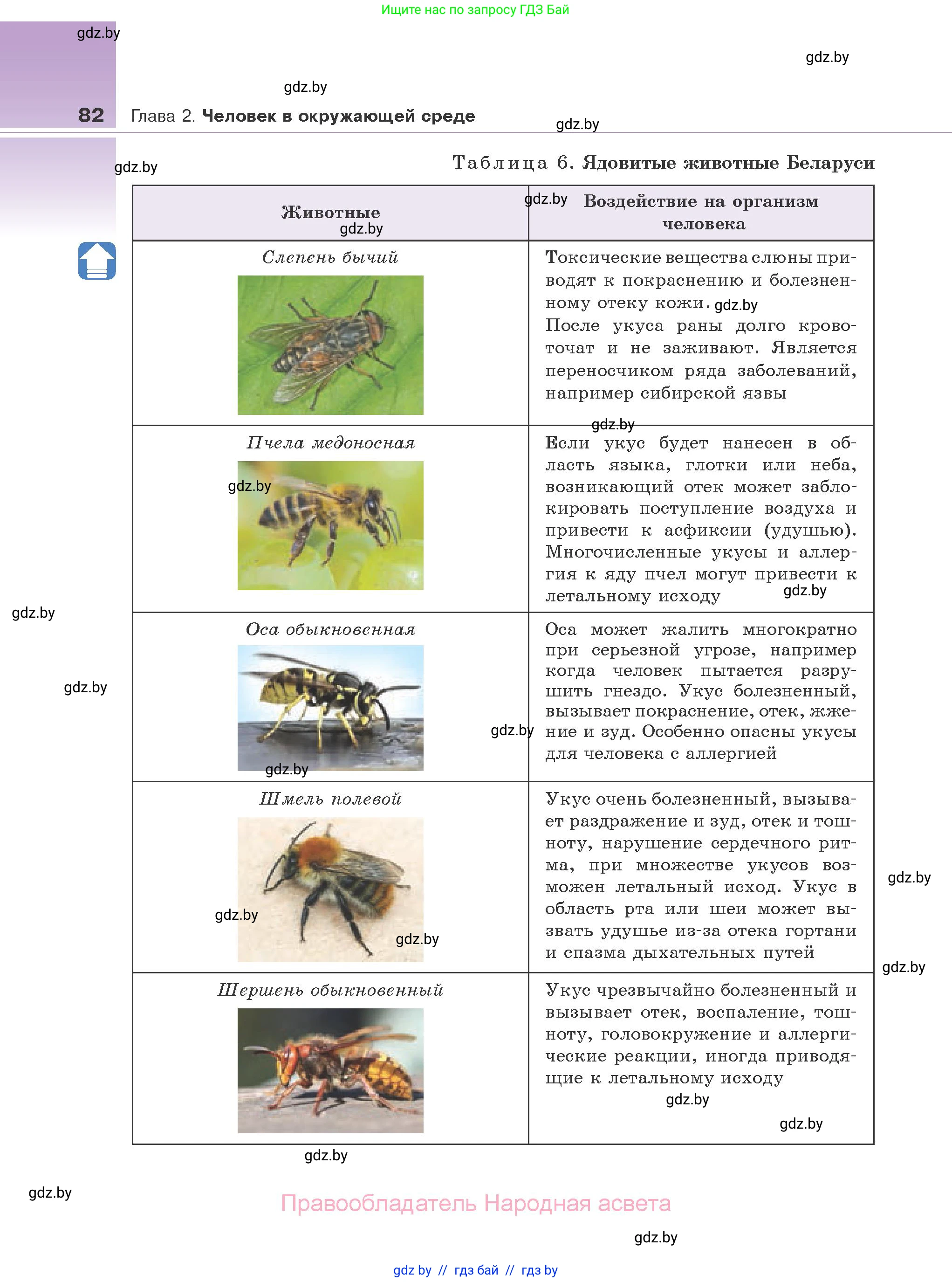Биология, 10 класс Учебник, авторы: Маглыш Сабина Степановна, Кравченко Вячеслав Анатольевич, Довгун Татьяна Яновна, издательство Народная асвета, Минск, 2020, зелёного цвета, страница 82