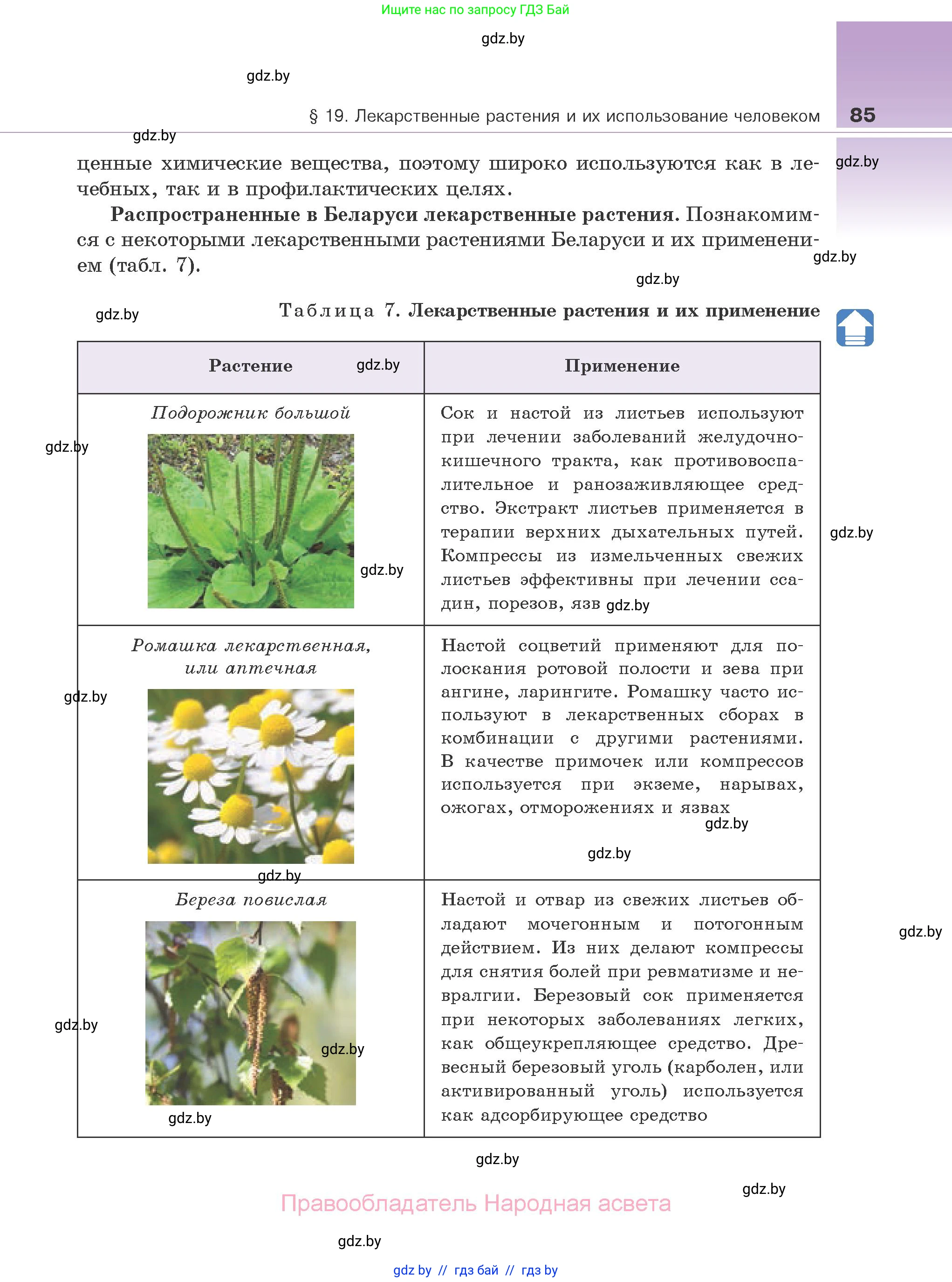 Биология, 10 класс Учебник, авторы: Маглыш Сабина Степановна, Кравченко Вячеслав Анатольевич, Довгун Татьяна Яновна, издательство Народная асвета, Минск, 2020, зелёного цвета, страница 85