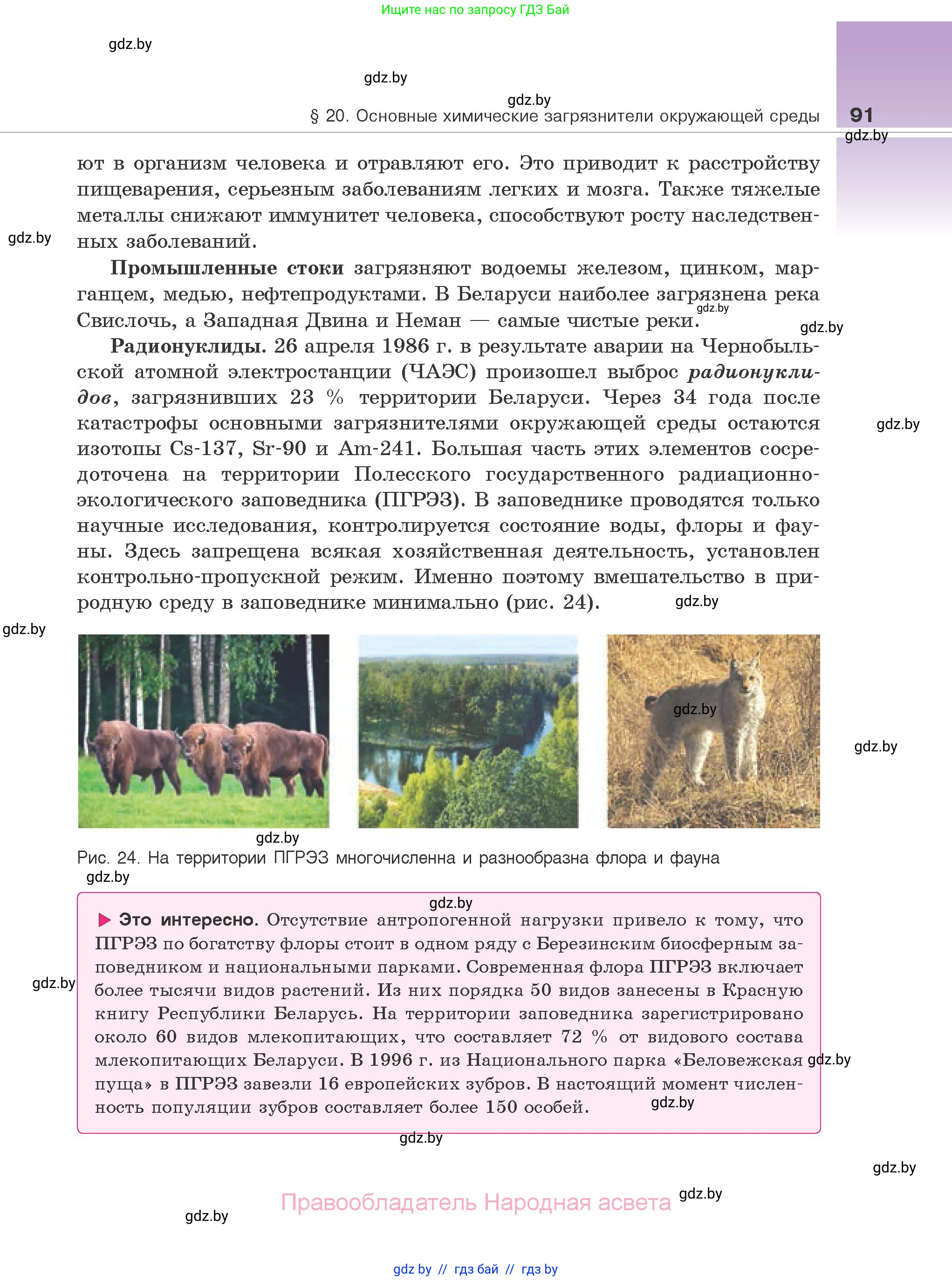 Биология, 10 класс Учебник, авторы: Маглыш Сабина Степановна, Кравченко Вячеслав Анатольевич, Довгун Татьяна Яновна, издательство Народная асвета, Минск, 2020, зелёного цвета, страница 91