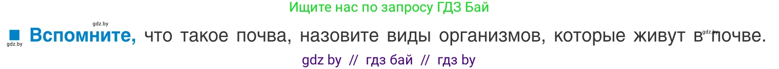 Биология, 10 класс Учебник, авторы: Маглыш Сабина Степановна, Кравченко Вячеслав Анатольевич, Довгун Татьяна Яновна, издательство Народная асвета, Минск, 2020, зелёного цвета, страница 55, Условие