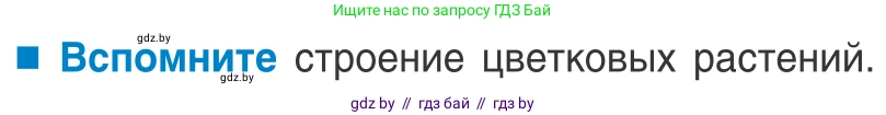 Биология, 10 класс Учебник, авторы: Маглыш Сабина Степановна, Кравченко Вячеслав Анатольевич, Довгун Татьяна Яновна, издательство Народная асвета, Минск, 2020, зелёного цвета, страница 76, Условие