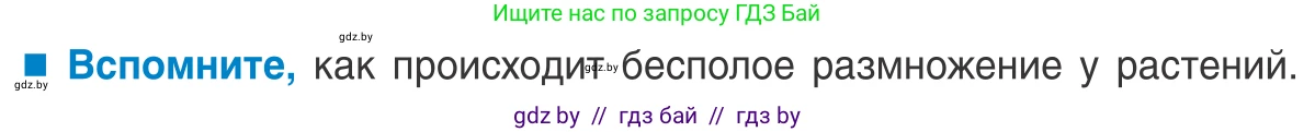 Биология, 10 класс Учебник, авторы: Маглыш Сабина Степановна, Кравченко Вячеслав Анатольевич, Довгун Татьяна Яновна, издательство Народная асвета, Минск, 2020, зелёного цвета, страница 139, Условие