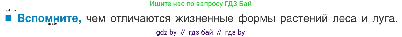 Биология, 10 класс Учебник, авторы: Маглыш Сабина Степановна, Кравченко Вячеслав Анатольевич, Довгун Татьяна Яновна, издательство Народная асвета, Минск, 2020, зелёного цвета, страница 194, Условие