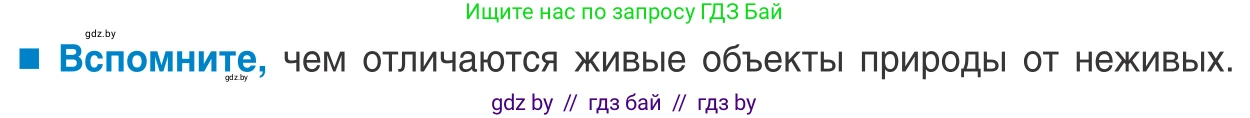 Биология, 10 класс Учебник, авторы: Маглыш Сабина Степановна, Кравченко Вячеслав Анатольевич, Довгун Татьяна Яновна, издательство Народная асвета, Минск, 2020, зелёного цвета, страница 231, Условие