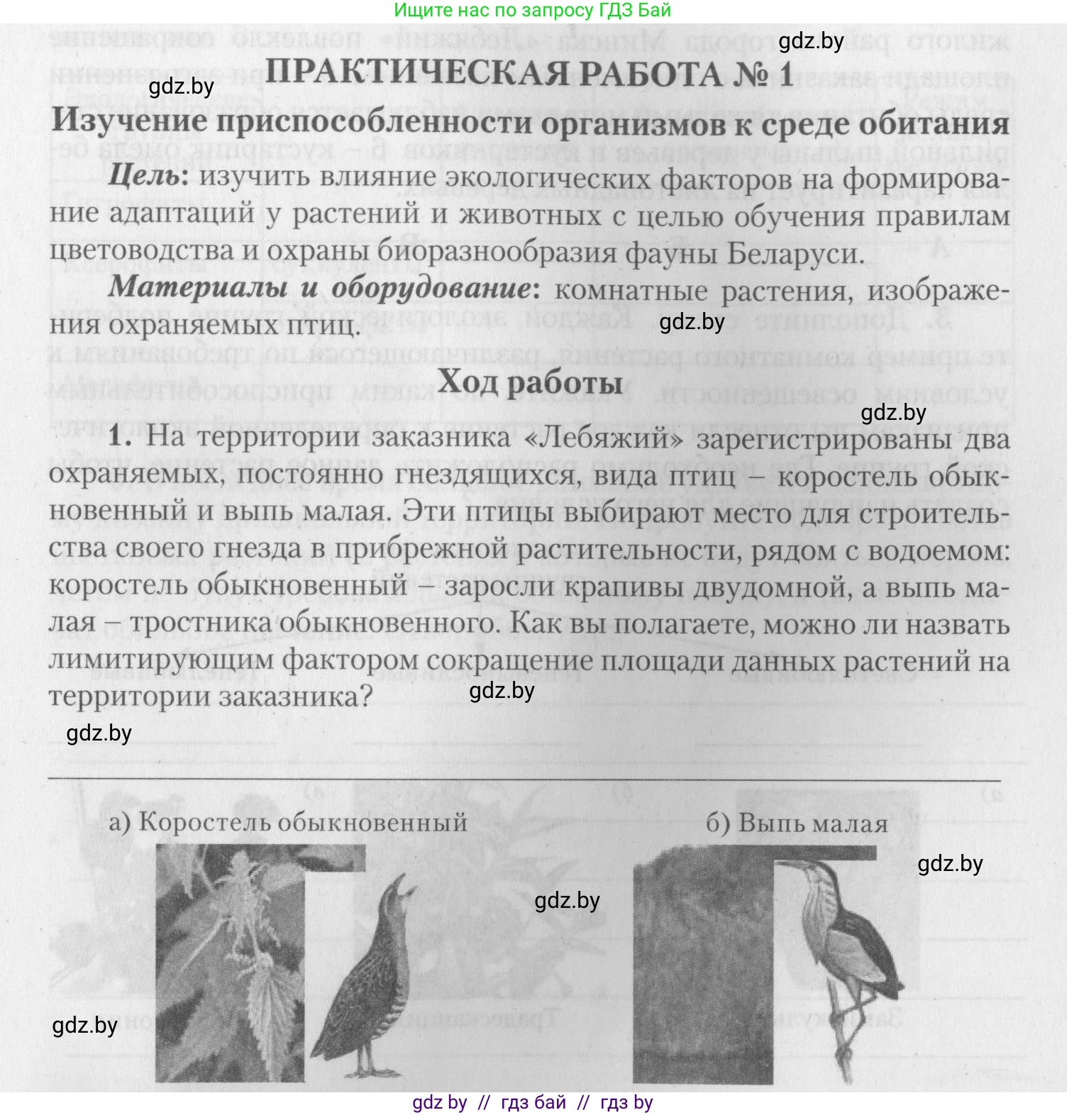 Биология, 10 класс тетрадь для лабораторных, практических работ и экскурсий, автор: Новик Ирина Михайловна, издательство Сэр-Вит, Минск, 2020, салатового цвета, страница 11, номер 1, Условие