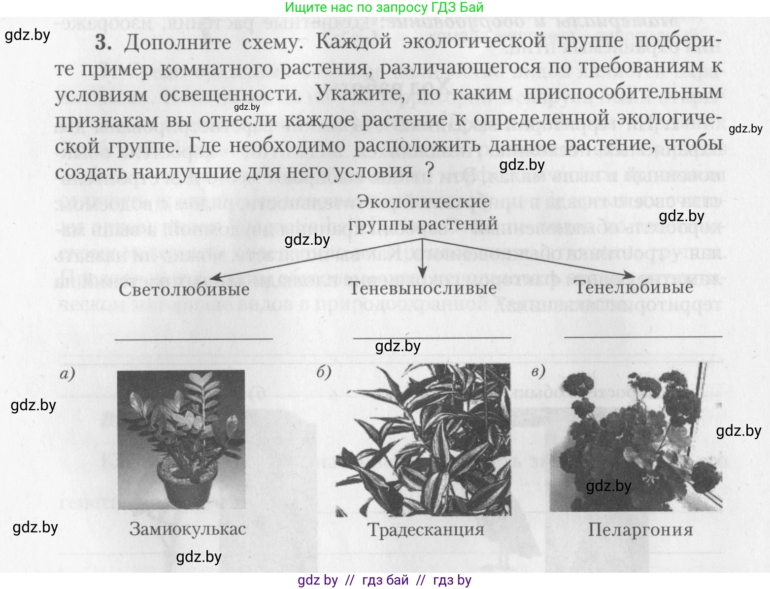 Биология, 10 класс тетрадь для лабораторных, практических работ и экскурсий, автор: Новик Ирина Михайловна, издательство Сэр-Вит, Минск, 2020, салатового цвета, страница 12, номер 3, Условие