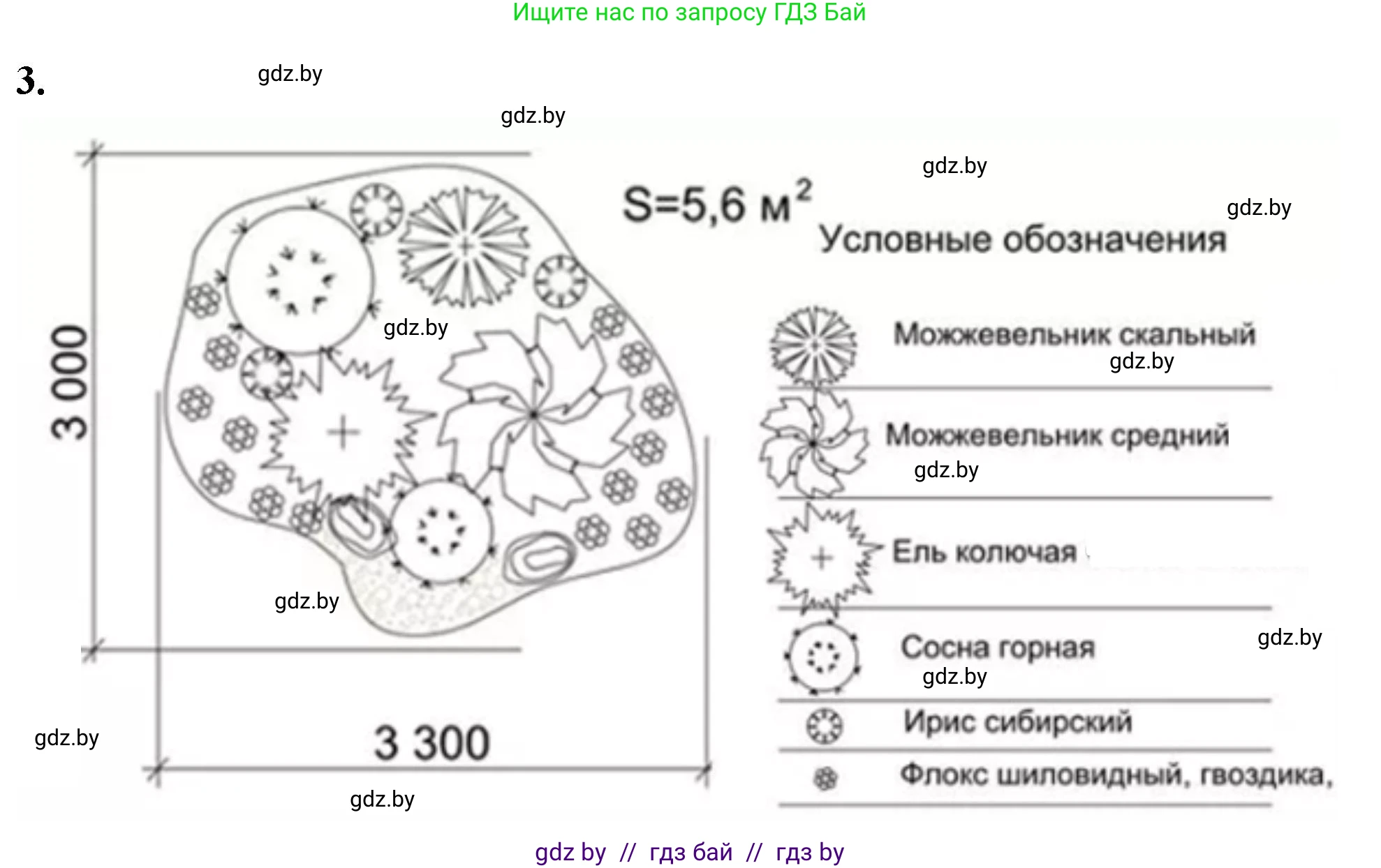 Биология, 10 класс тетрадь для лабораторных, практических работ и экскурсий, автор: Новик Ирина Михайловна, издательство Сэр-Вит, Минск, 2020, салатового цвета, страница 28, номер 3, Решение