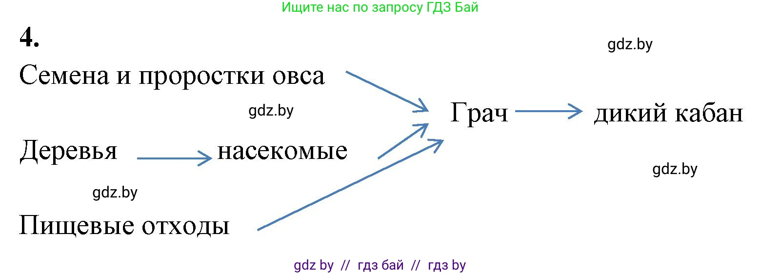 Биология, 10 класс тетрадь для лабораторных, практических работ и экскурсий, автор: Новик Ирина Михайловна, издательство Сэр-Вит, Минск, 2020, салатового цвета, страница 15, номер 4, Решение