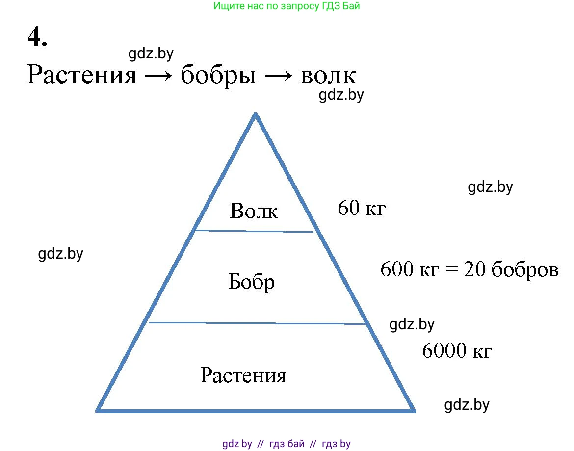 Биология, 10 класс тетрадь для лабораторных, практических работ и экскурсий, автор: Новик Ирина Михайловна, издательство Сэр-Вит, Минск, 2020, салатового цвета, страница 21, номер 4, Решение