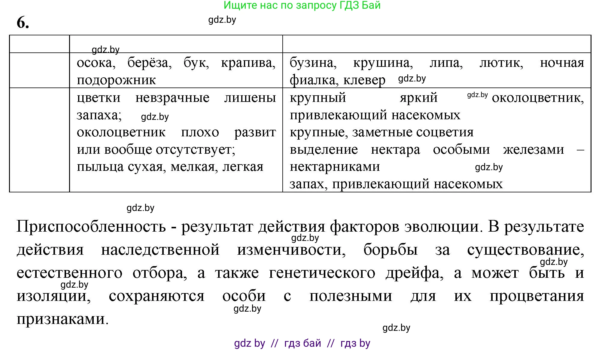 Биология, 11 класс Тетрадь для лабораторных и практических работ, авторы: Дашков Максим Леонидович, Головач Алексей Михайлович, издательство Аверсэв, Минск, 2021, оранжевого цвета, страница 37, номер 6, Решение