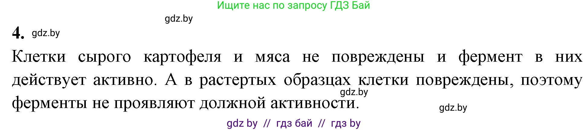 Биология, 11 класс Тетрадь для лабораторных и практических работ, авторы: Дашков Максим Леонидович, Головач Алексей Михайлович, издательство Аверсэв, Минск, 2021, оранжевого цвета, страница 5, номер 4, Решение