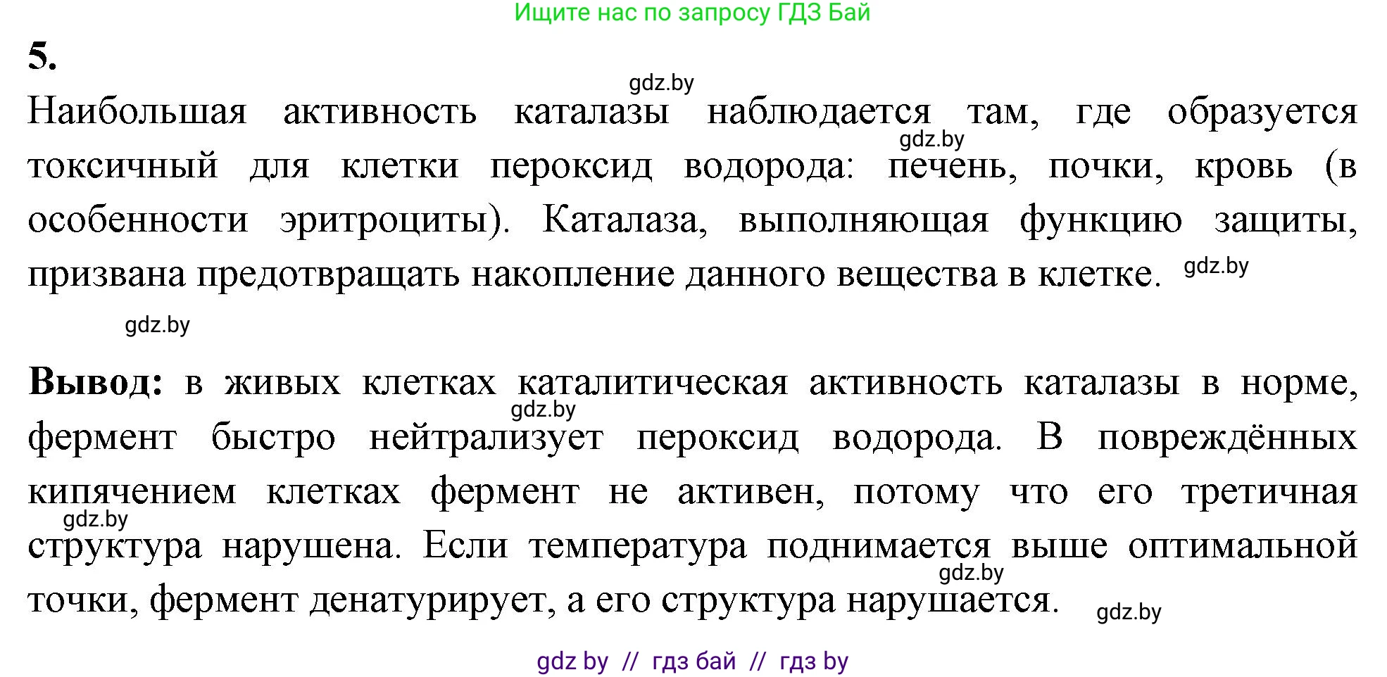 Биология, 11 класс Тетрадь для лабораторных и практических работ, авторы: Дашков Максим Леонидович, Головач Алексей Михайлович, издательство Аверсэв, Минск, 2021, оранжевого цвета, страница 6, номер 5, Решение