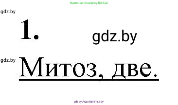 Биология, 11 класс Тетрадь для лабораторных и практических работ, авторы: Дашков Максим Леонидович, Головач Алексей Михайлович, издательство Аверсэв, Минск, 2021, оранжевого цвета, страница 15, номер 1, Решение