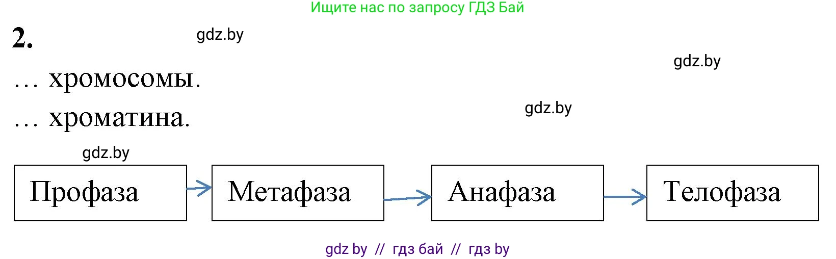 Биология, 11 класс Тетрадь для лабораторных и практических работ, авторы: Дашков Максим Леонидович, Головач Алексей Михайлович, издательство Аверсэв, Минск, 2021, оранжевого цвета, страница 15, номер 2, Решение