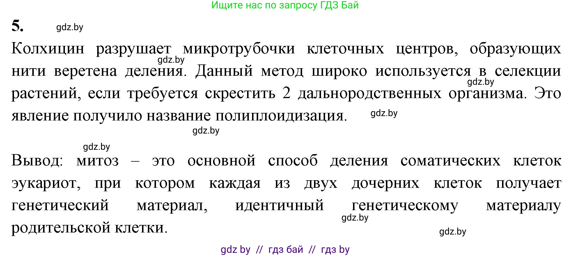 Биология, 11 класс Тетрадь для лабораторных и практических работ, авторы: Дашков Максим Леонидович, Головач Алексей Михайлович, издательство Аверсэв, Минск, 2021, оранжевого цвета, страница 17, номер 5, Решение